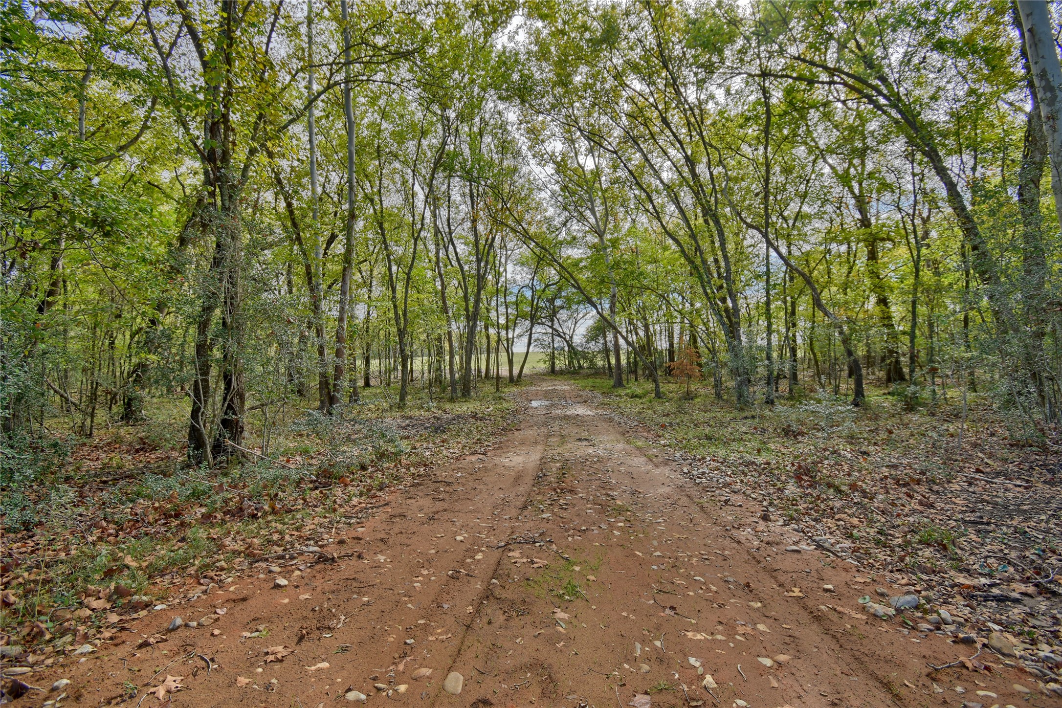 2088 Sempronius Road Property Photo 8