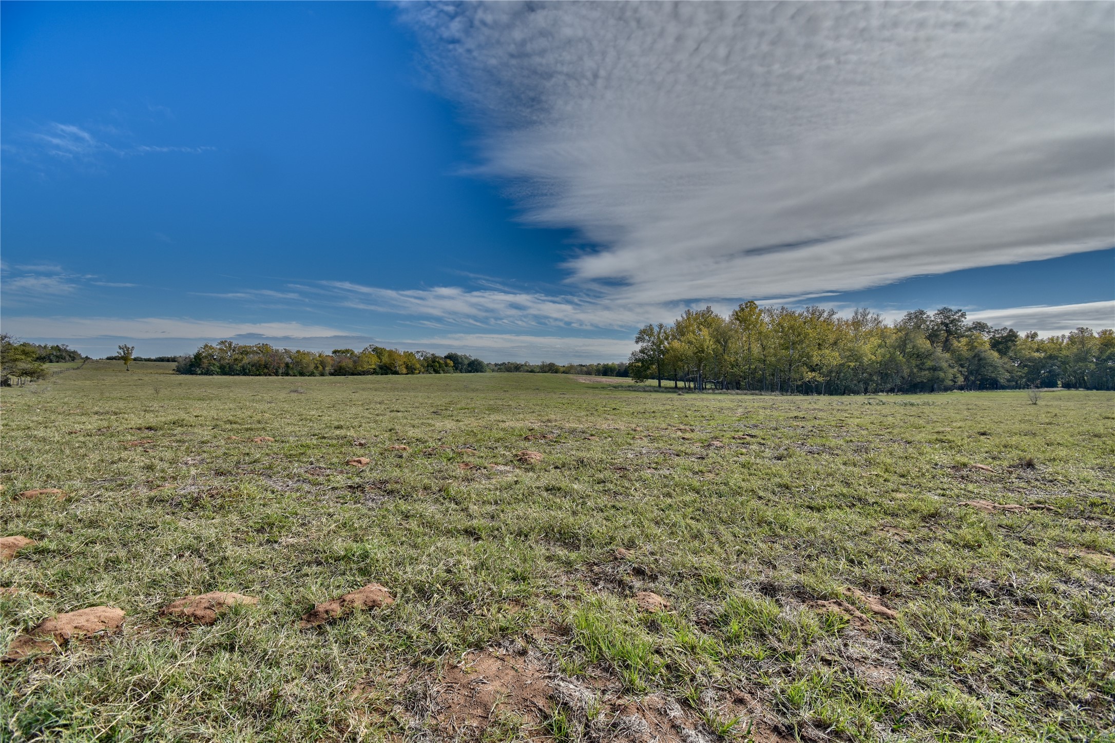2088 Sempronius Road Property Photo 9