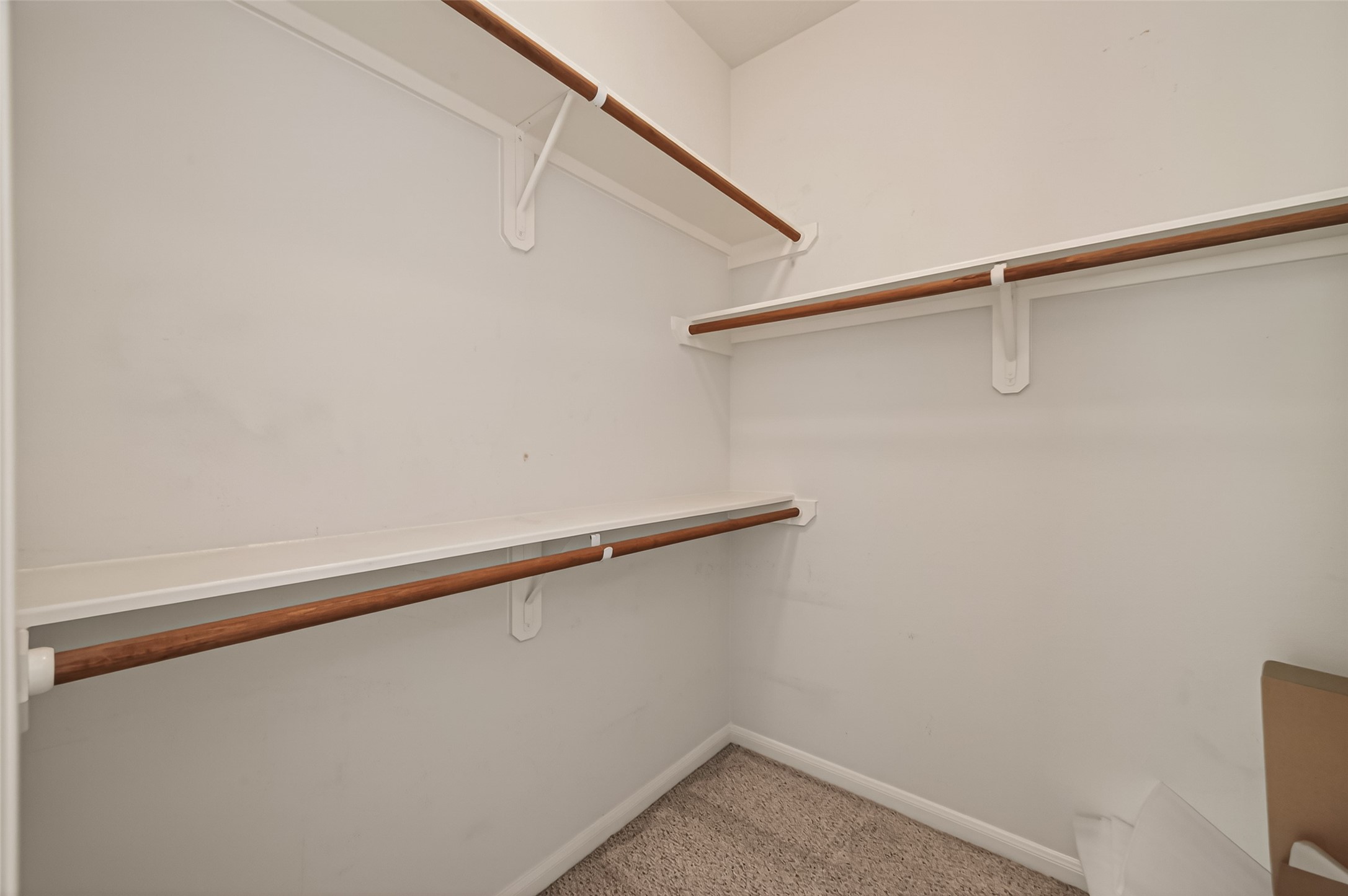 4103 Dusty Ridge Court Property Photo 29