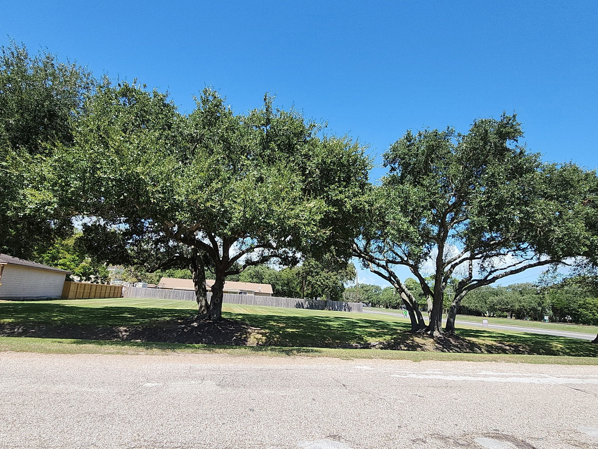 1000 Delmar Property Photo 2
