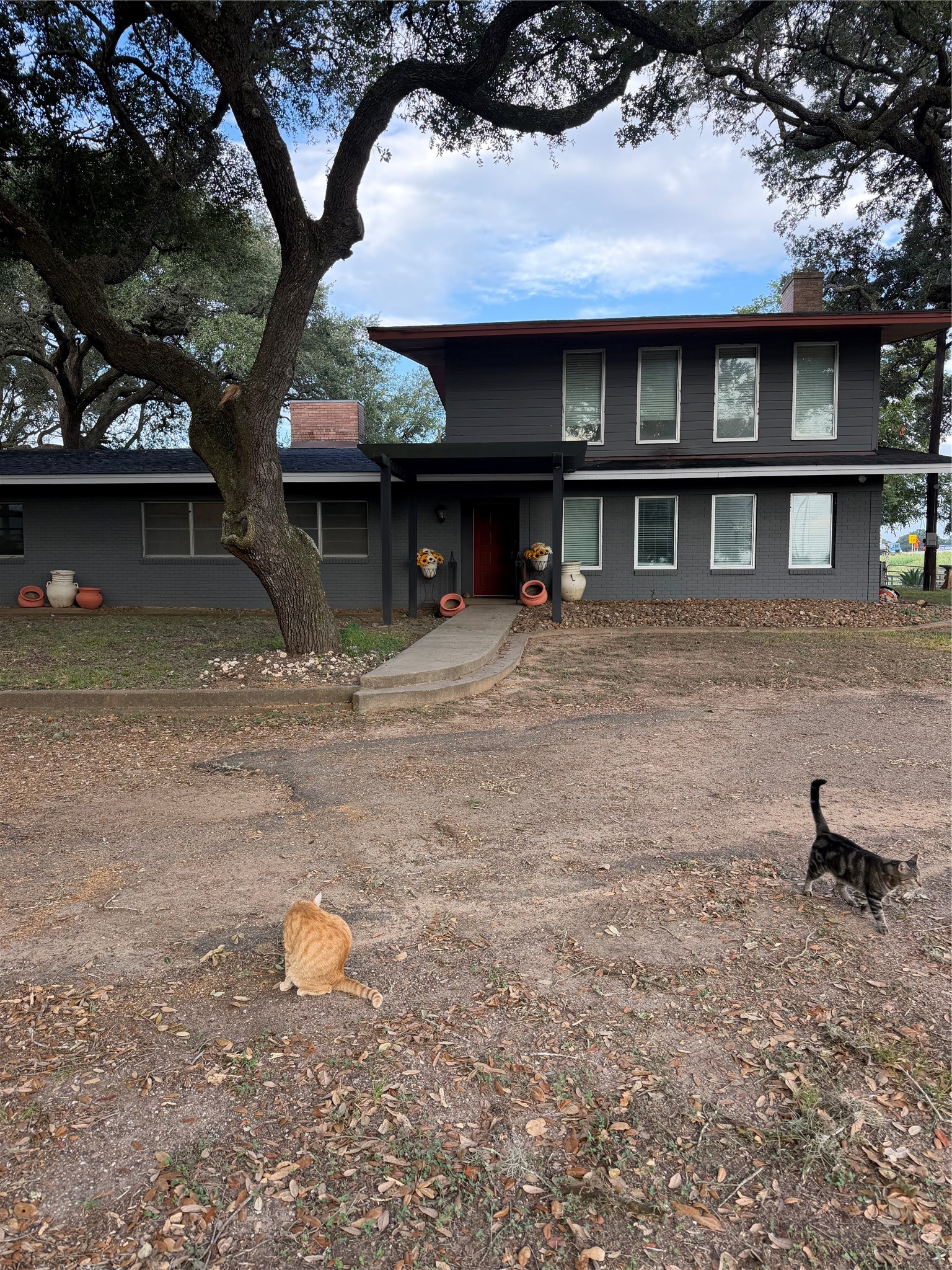 100 Evans Street Property Photo 2