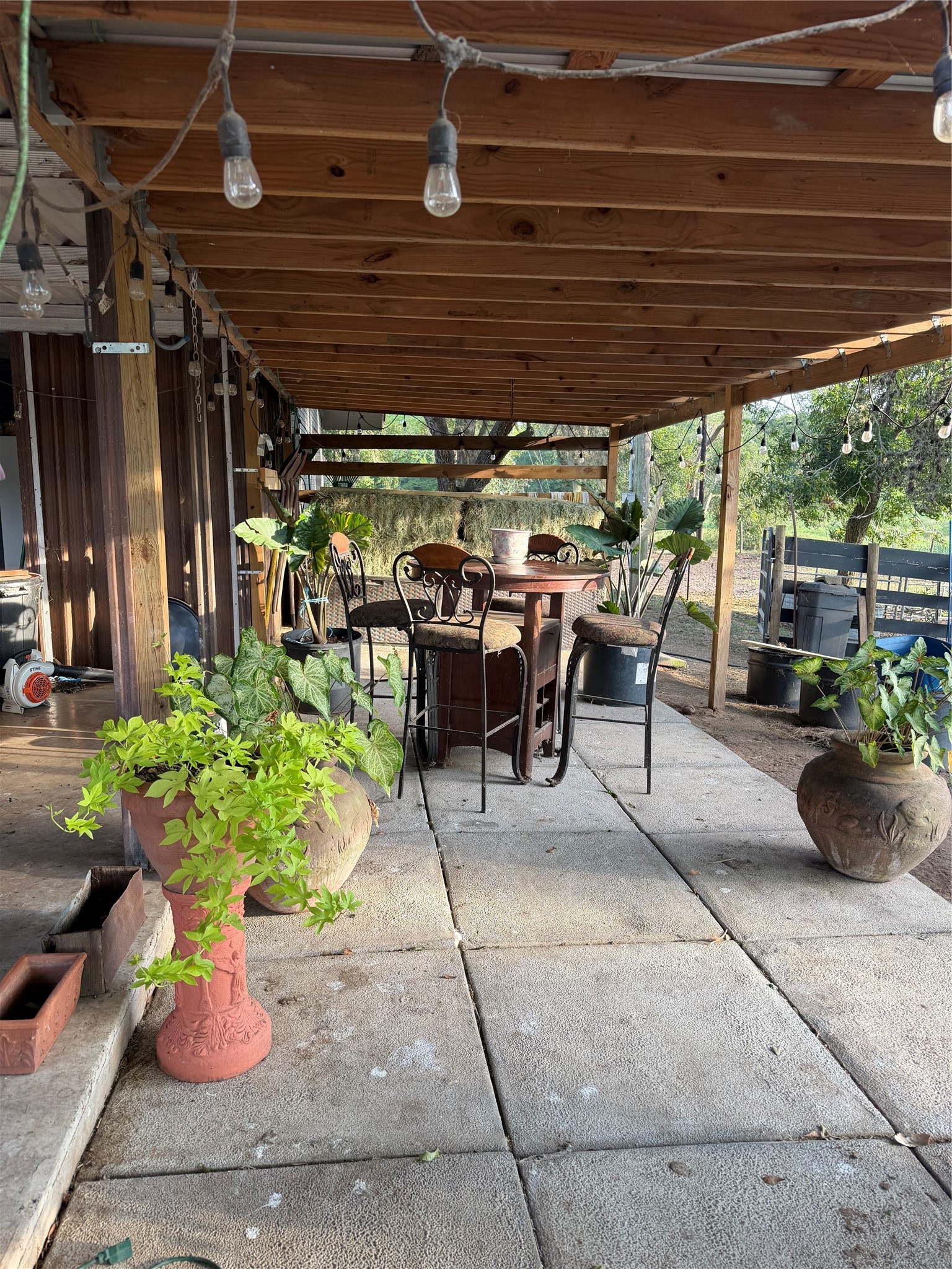 100 Evans Street Property Photo 18