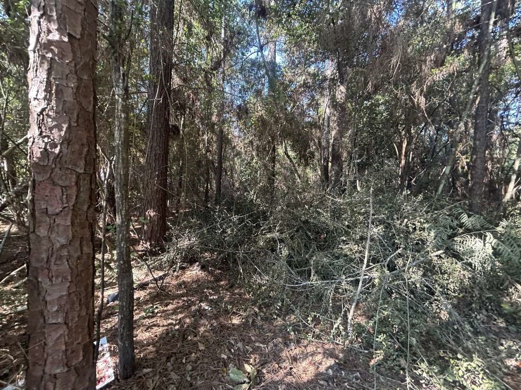 Lot 334 Powdrill Property Photo 1