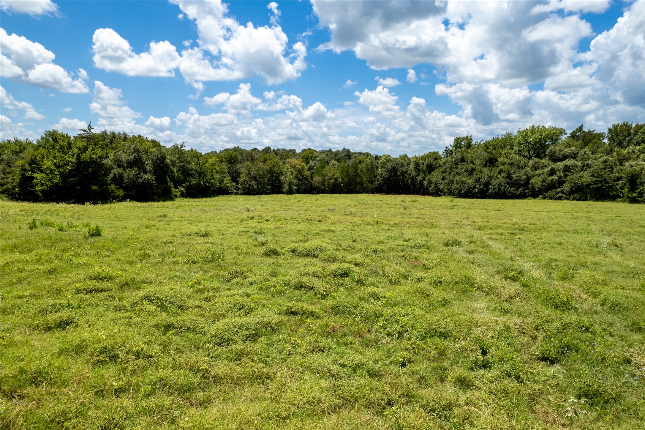0 Cedar Hill Road Property Photo 9