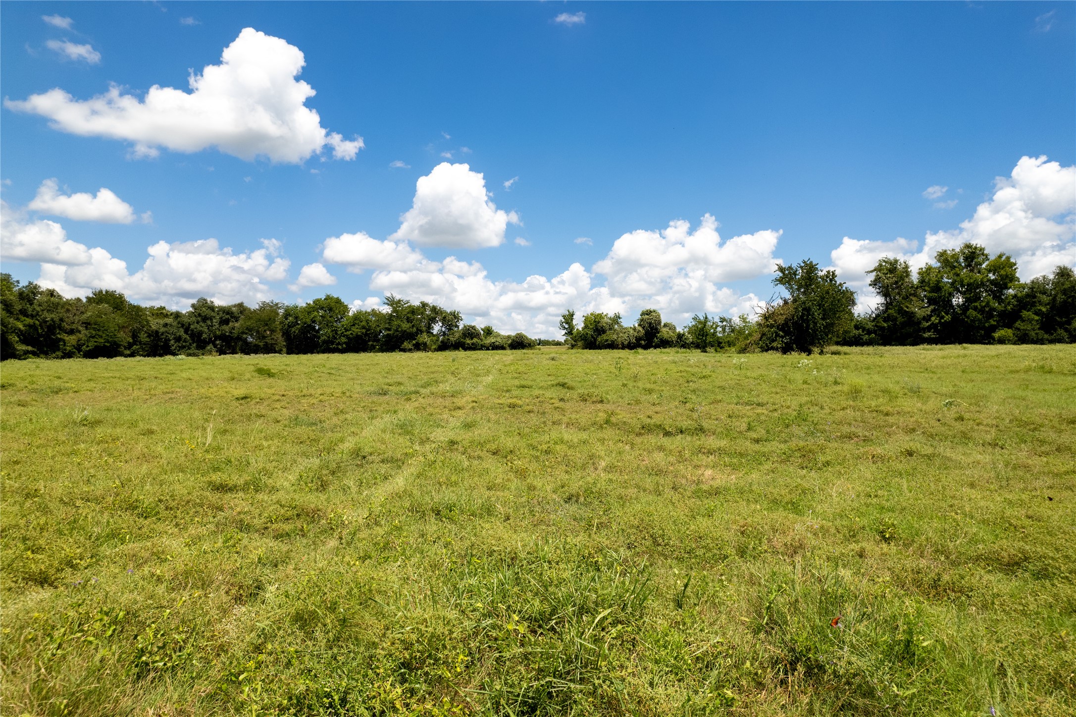 0 Cedar Hill Road Property Photo 11