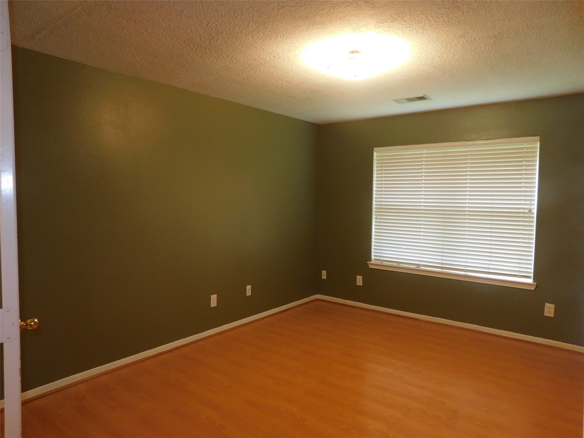 3702 Heritage Colony Drive Property Photo 16
