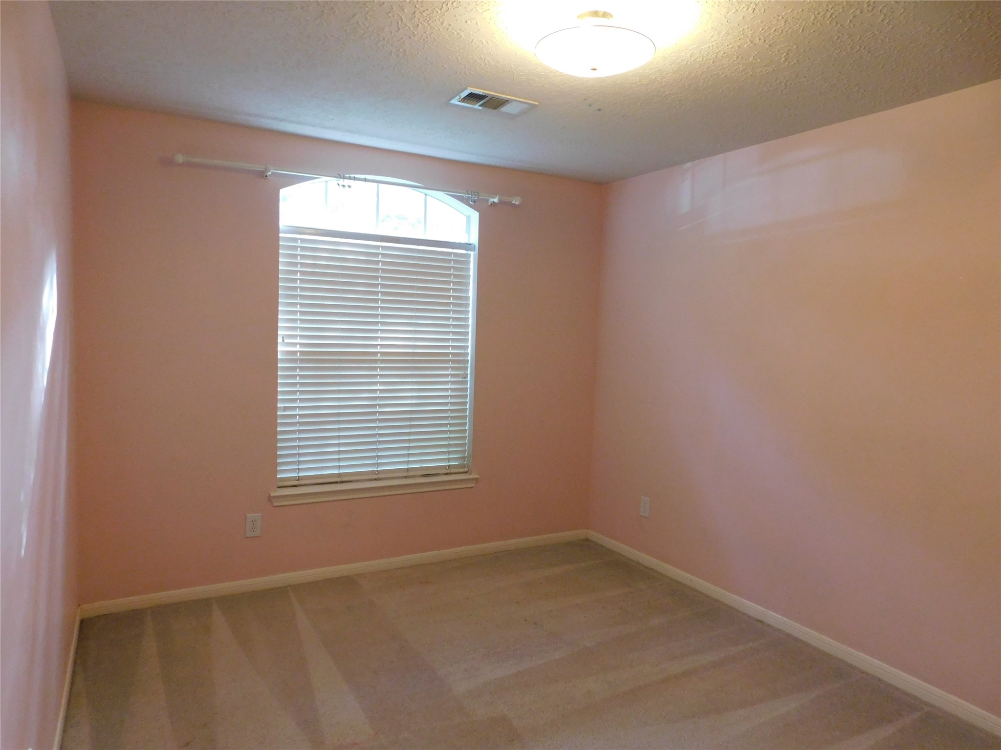 3702 Heritage Colony Drive Property Photo 35