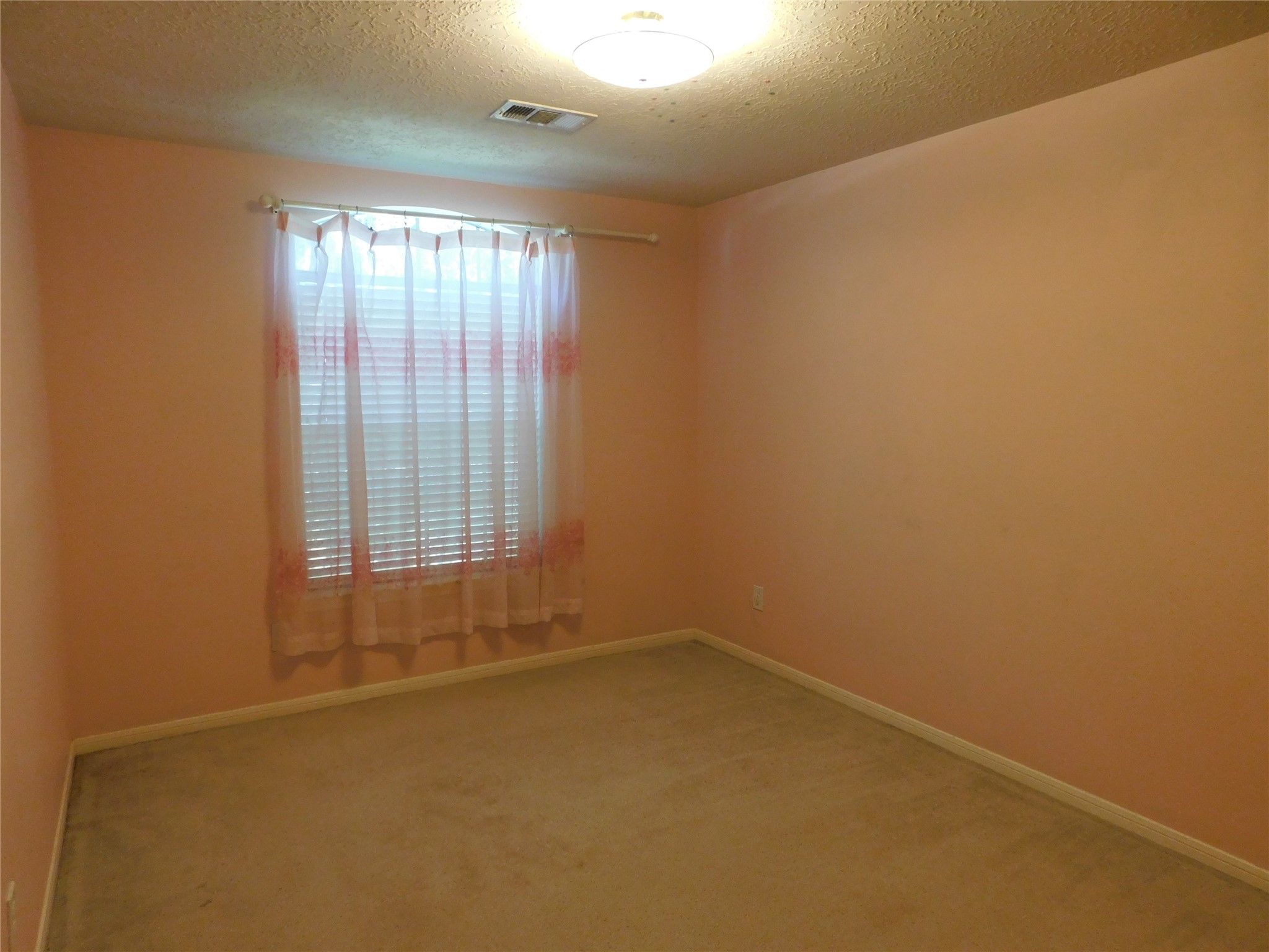 3702 Heritage Colony Drive Property Photo 36