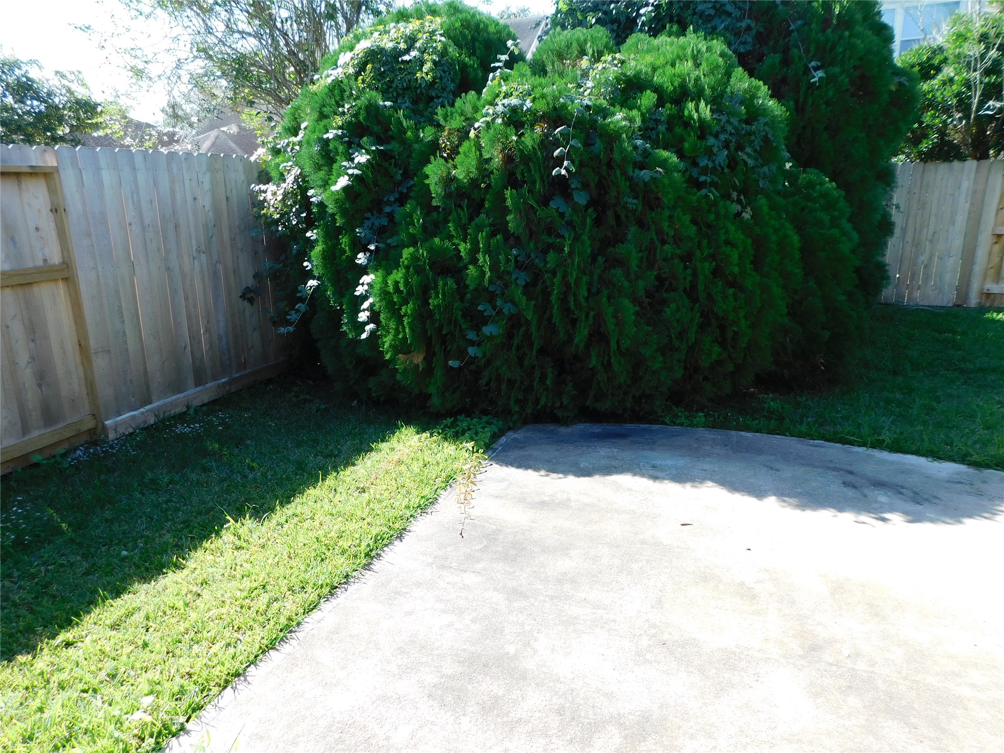 3702 Heritage Colony Drive Property Photo 42