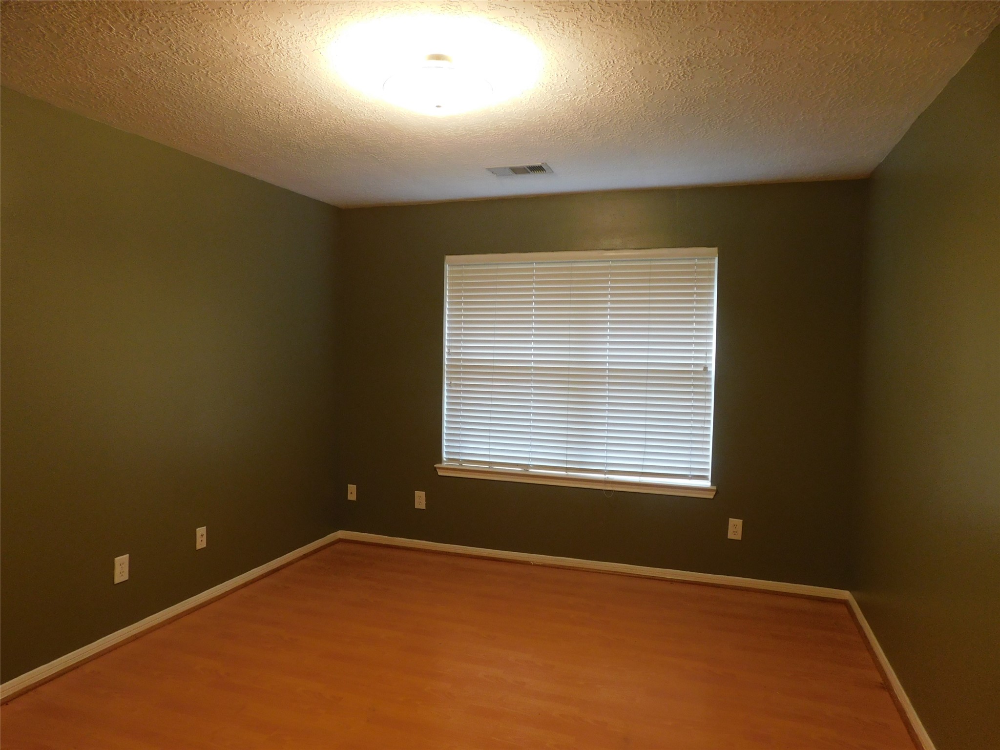 3702 Heritage Colony Drive Property Photo 46