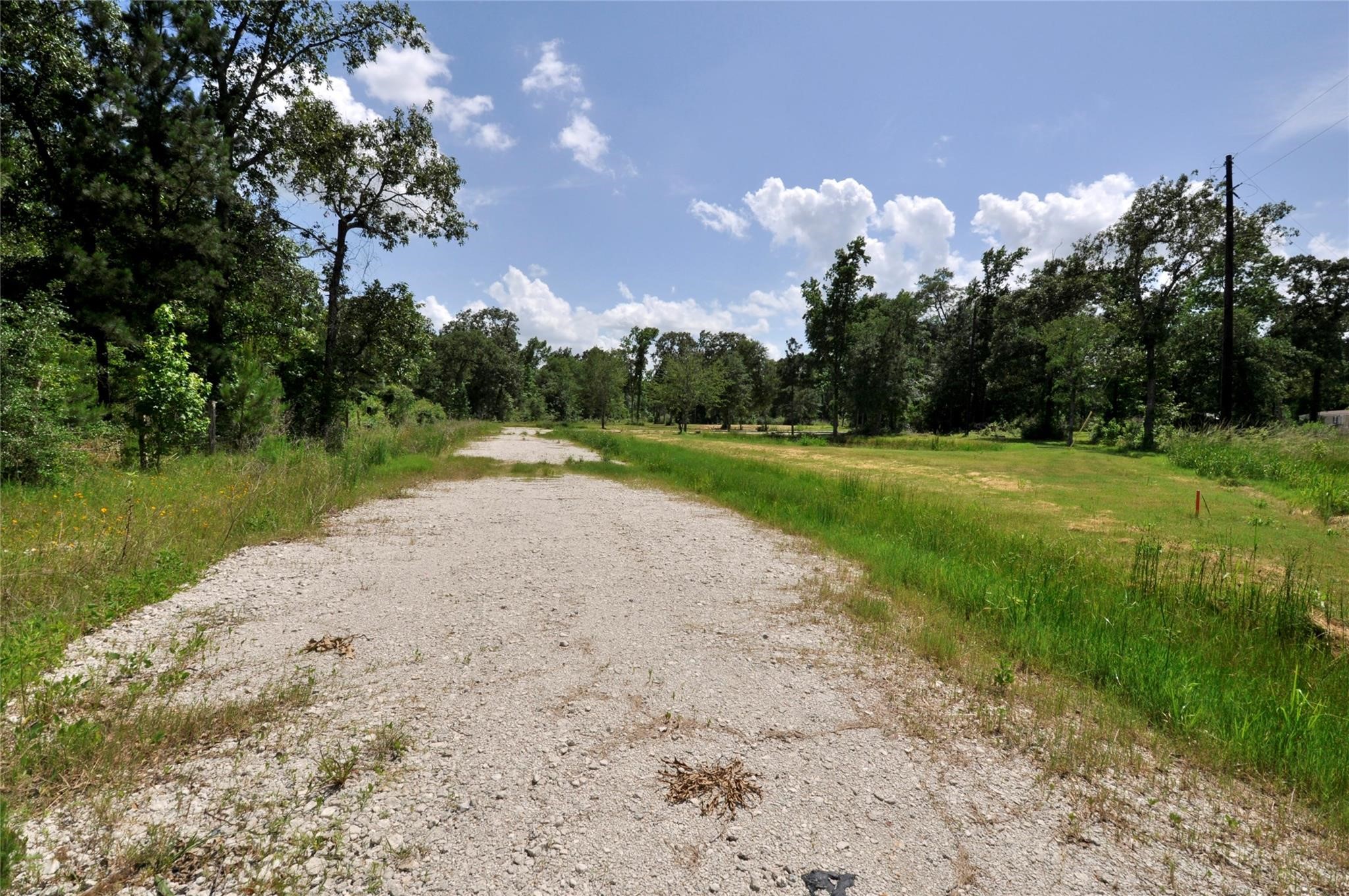 26150 Grand Pines Road Property Photo 3