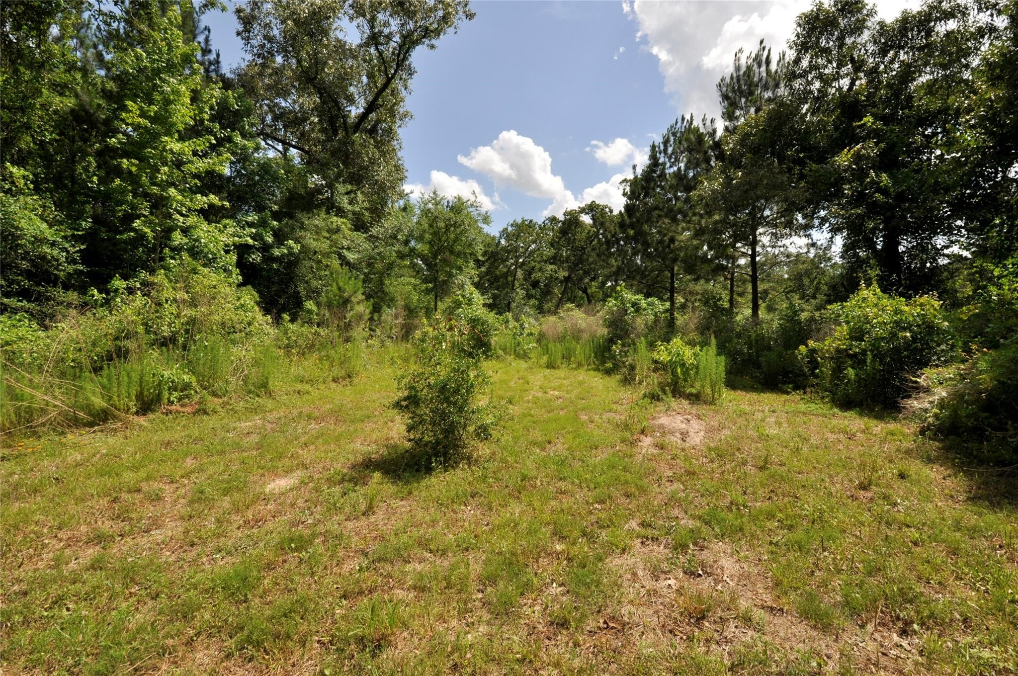 26150 Grand Pines Road Property Photo 8