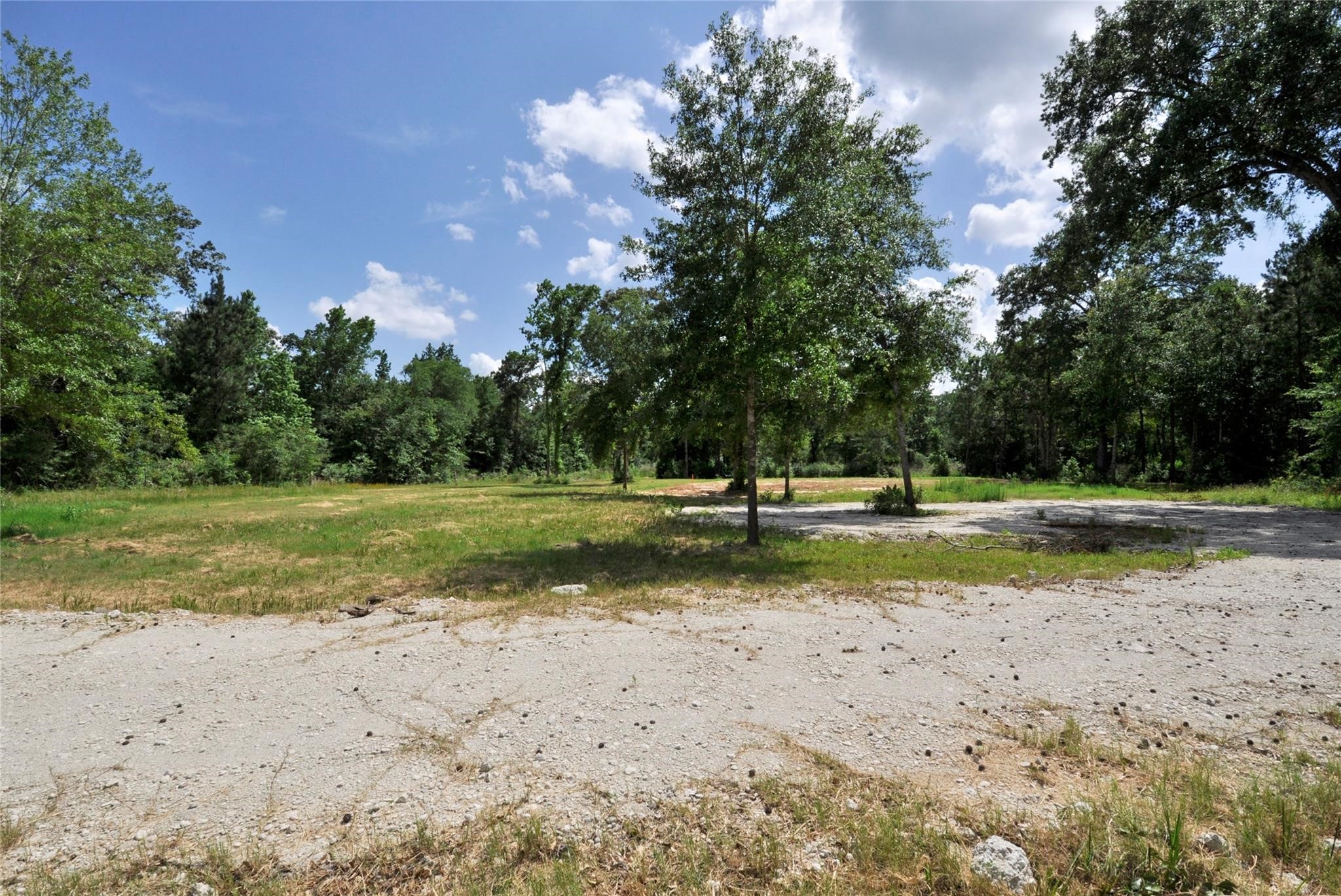 26150 Grand Pines Road Property Photo 9
