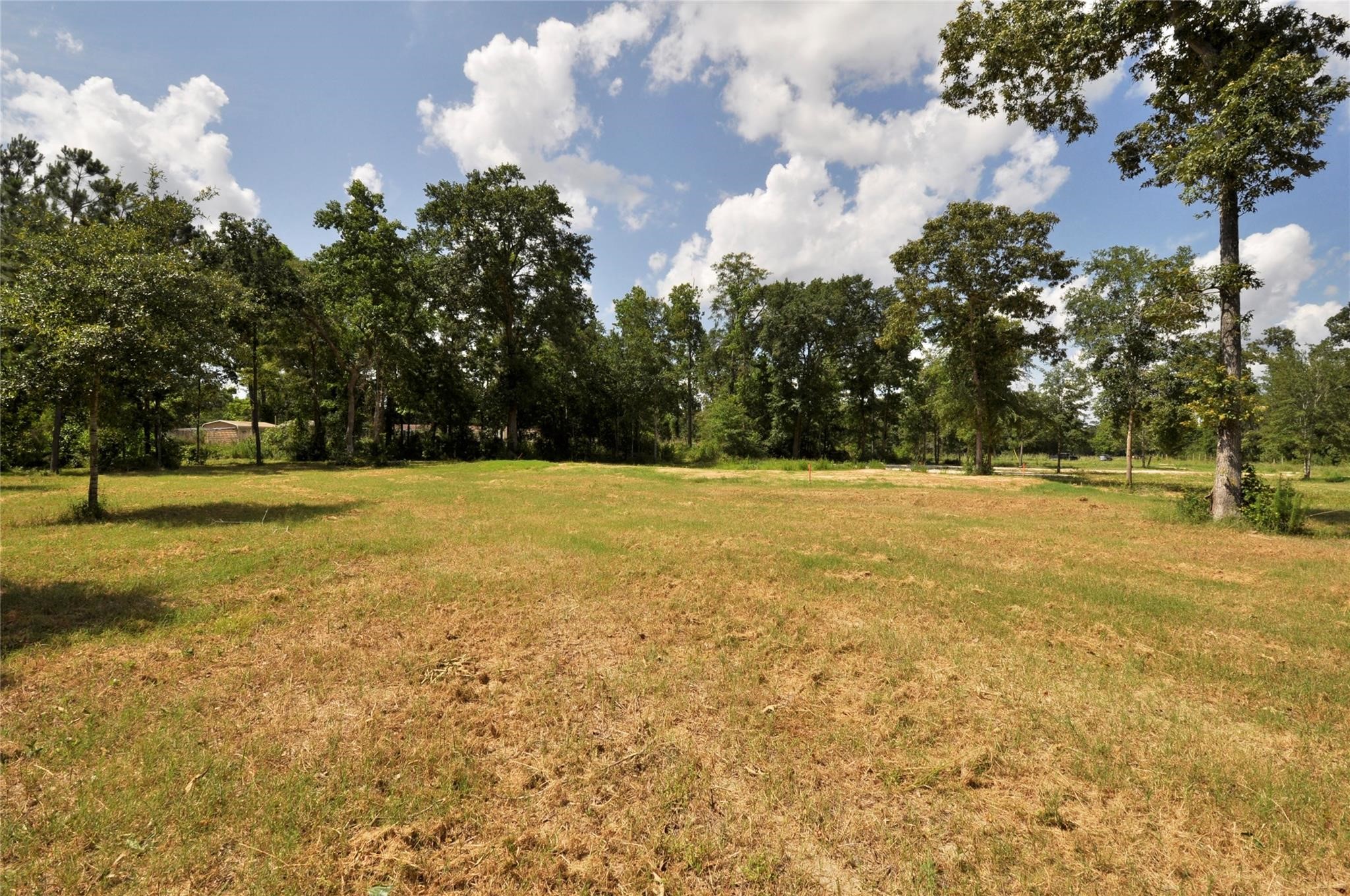26150 Grand Pines Road Property Photo 11