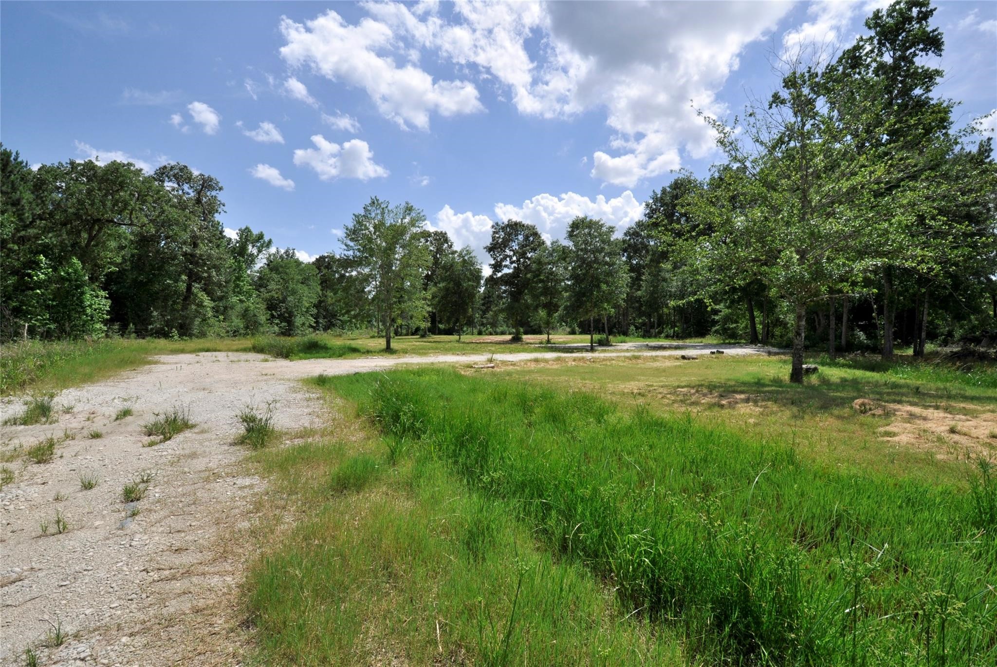 26150 Grand Pines Road Property Photo 13