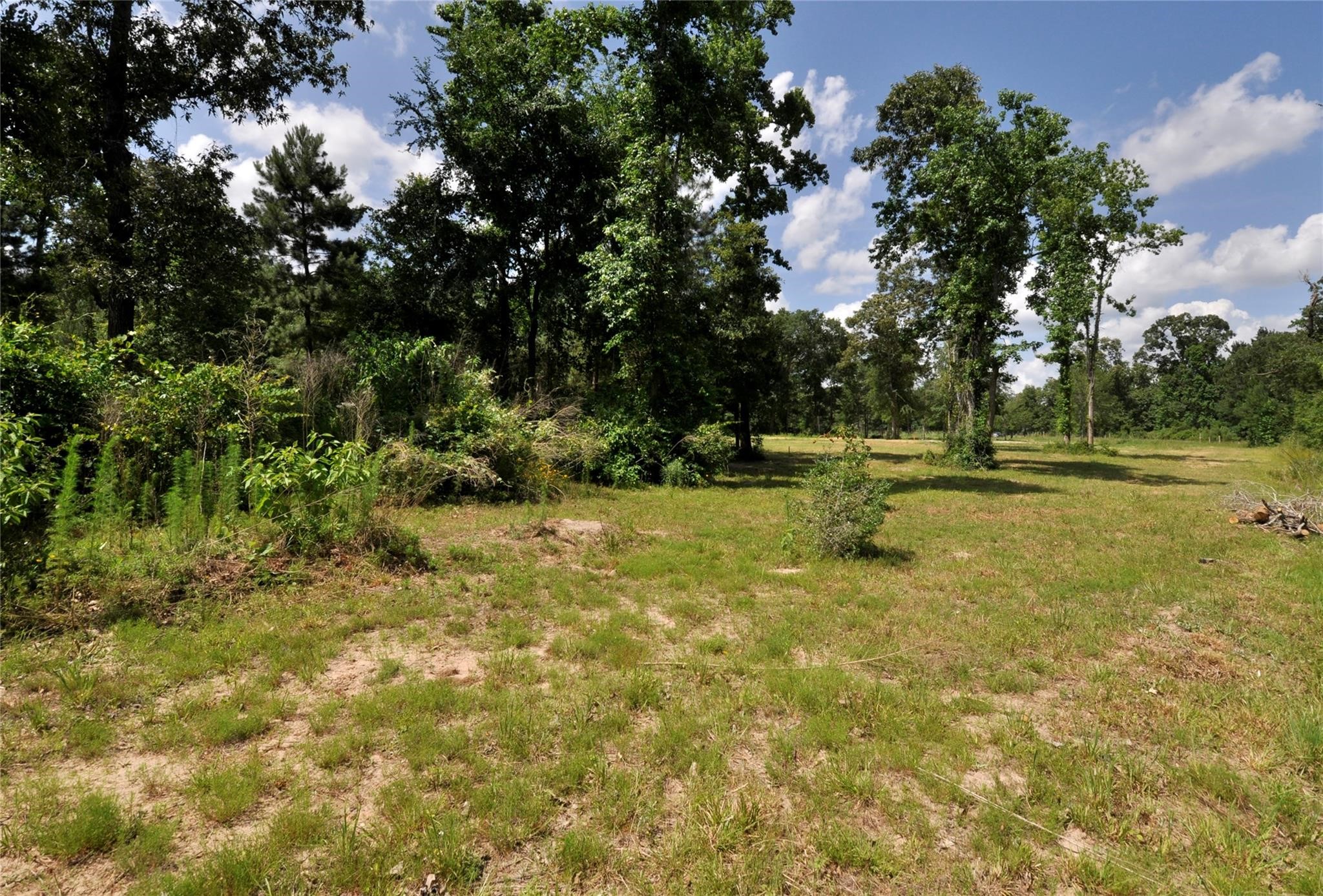 26150 Grand Pines Road Property Photo 15