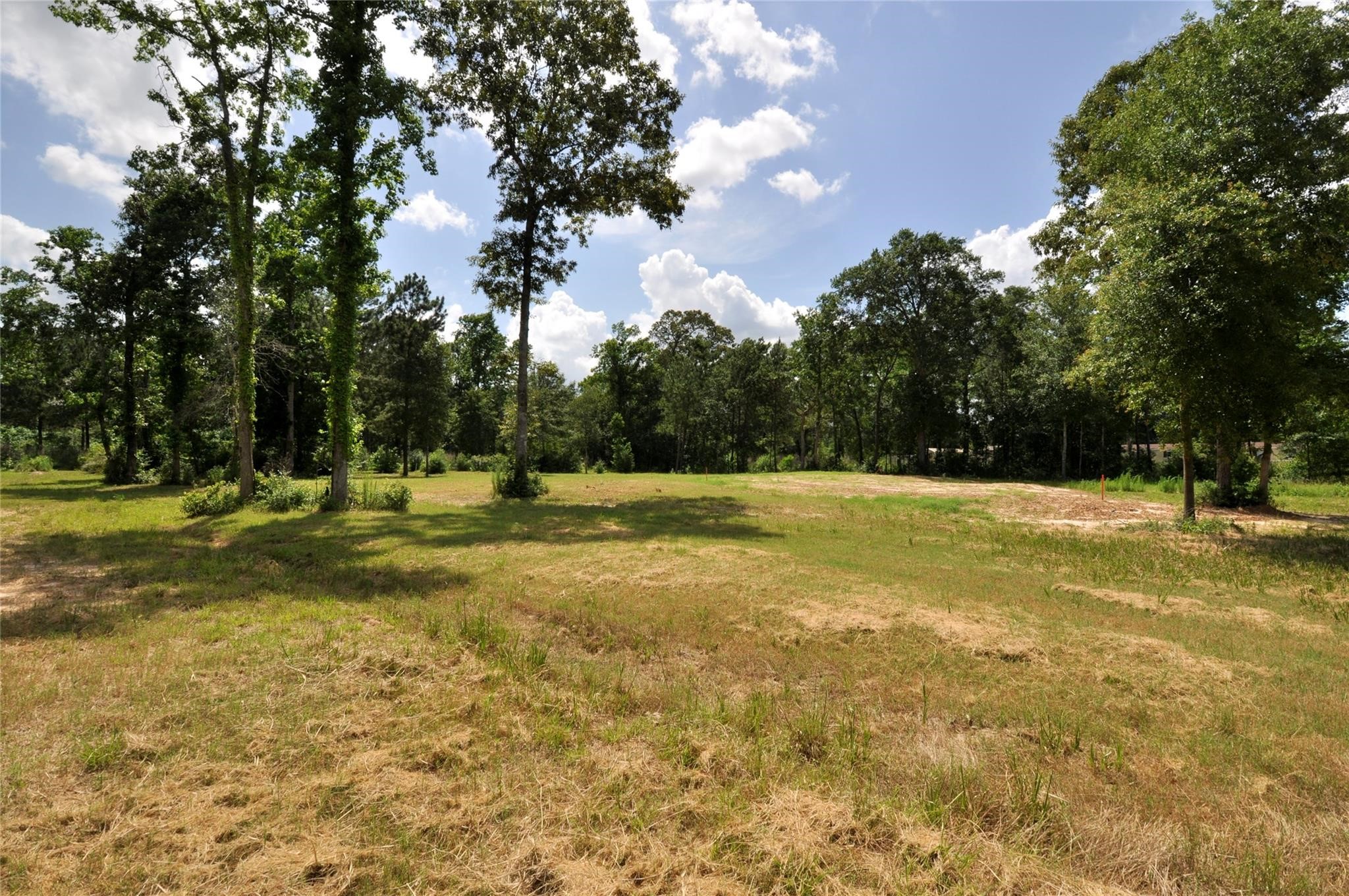 26150 Grand Pines Road Property Photo 16