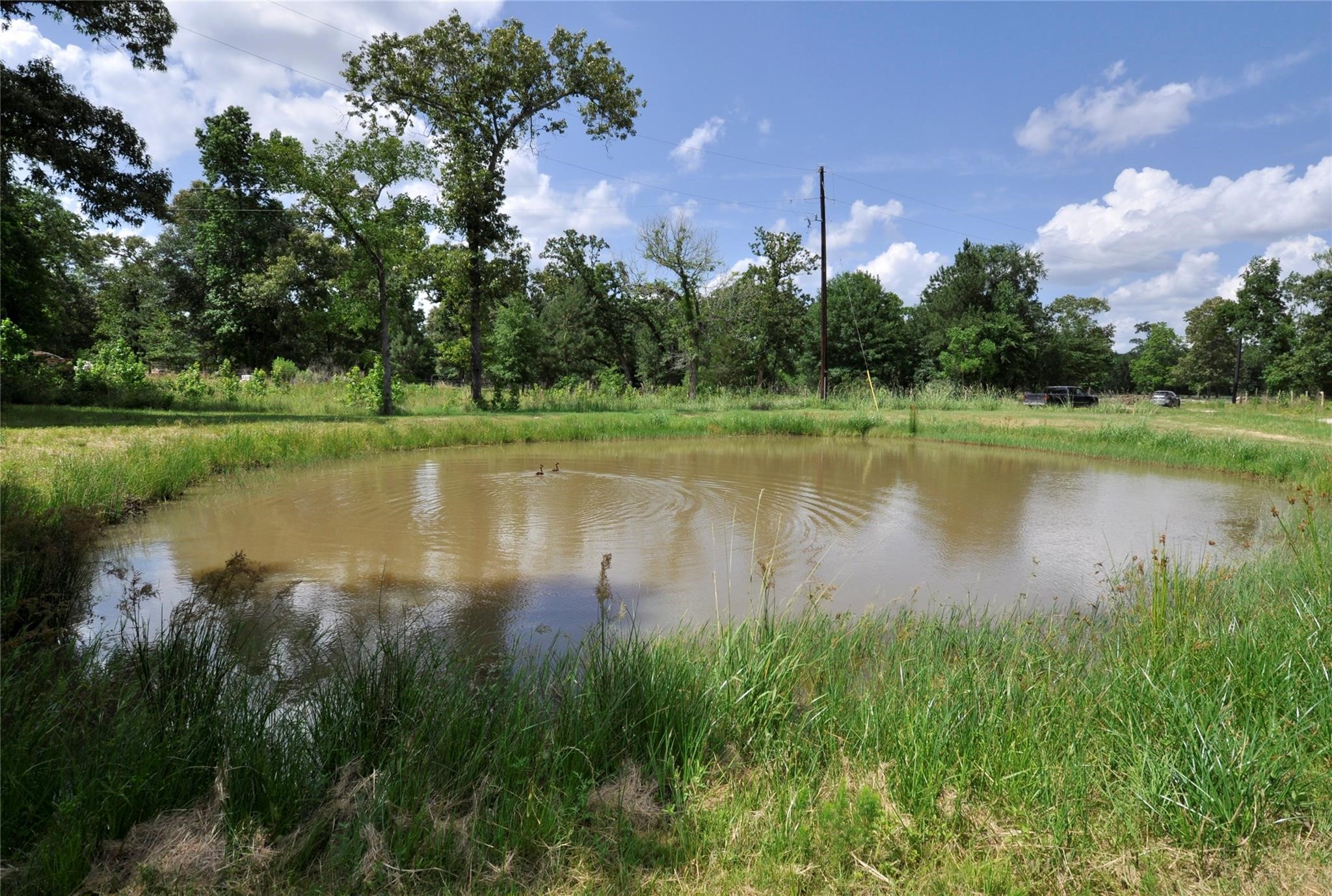 26150 Grand Pines Road Property Photo 17