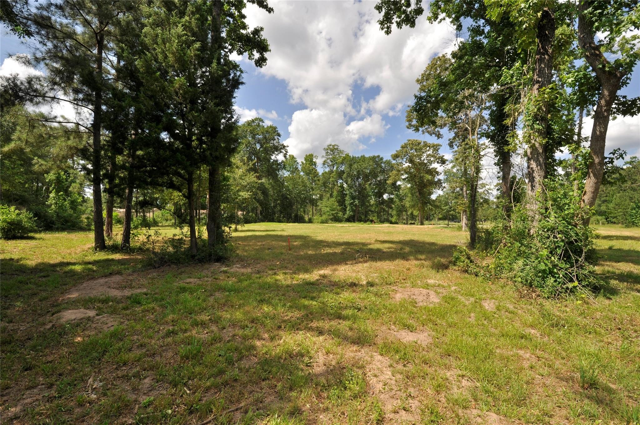 26150 Grand Pines Road Property Photo 18