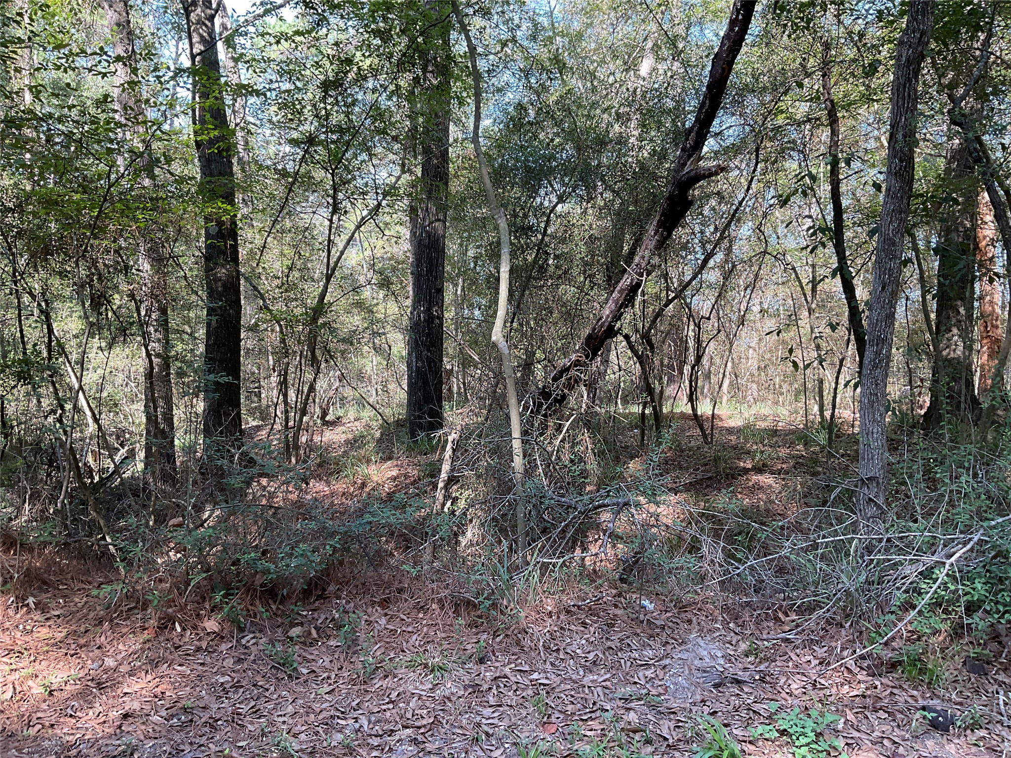 0 Mockingbird Lane Property Photo 6
