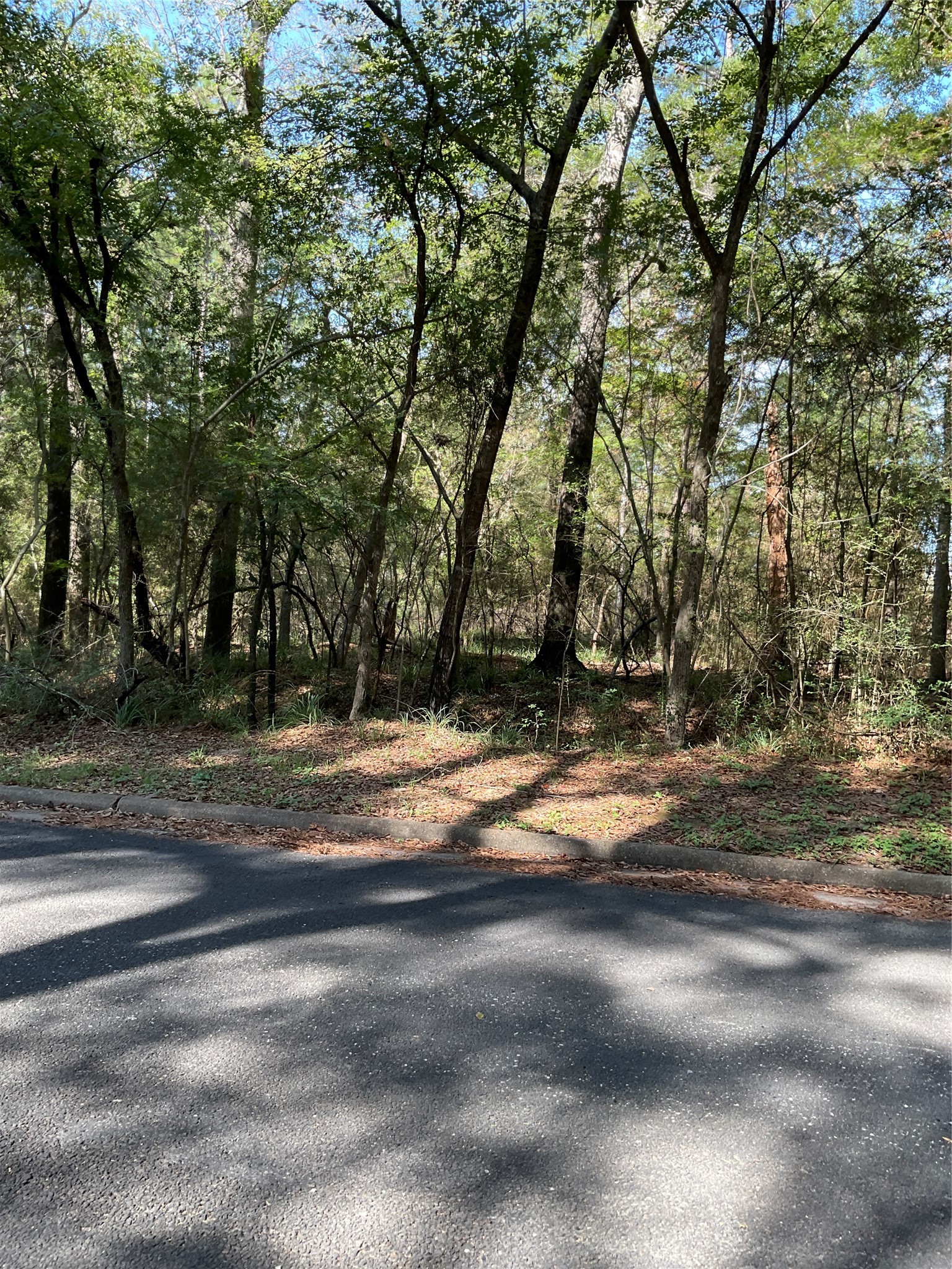 0 Mockingbird Lane Property Photo 7