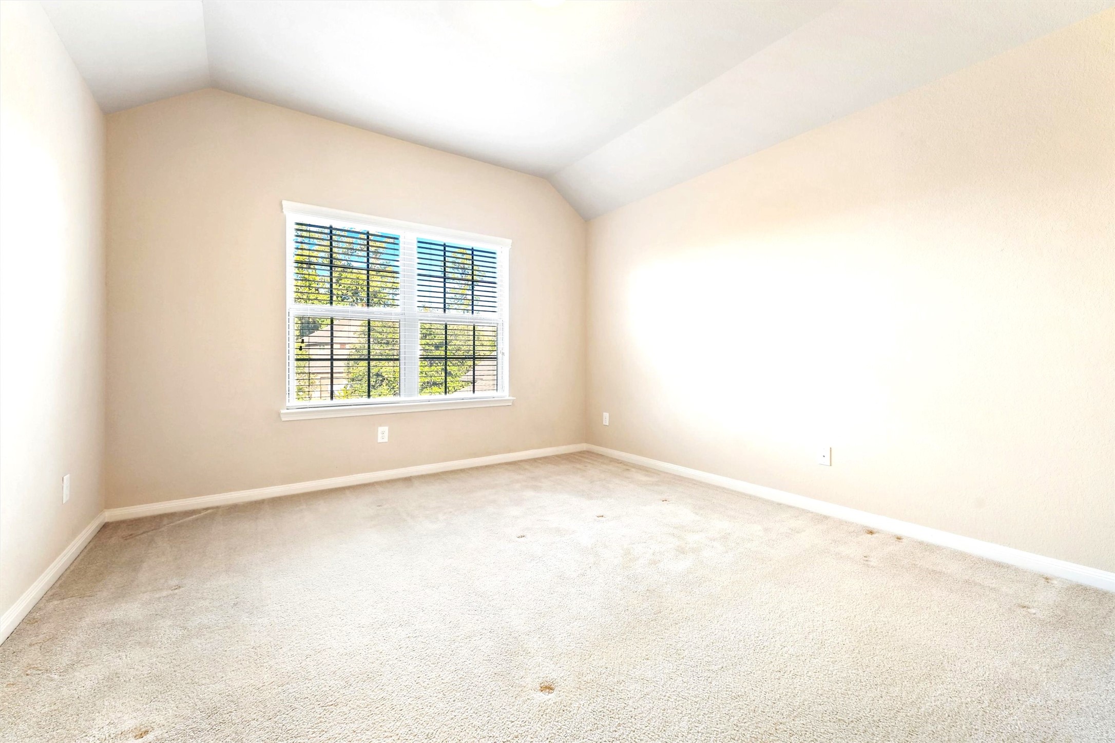 91 W Wading Pond Circle Property Photo 24