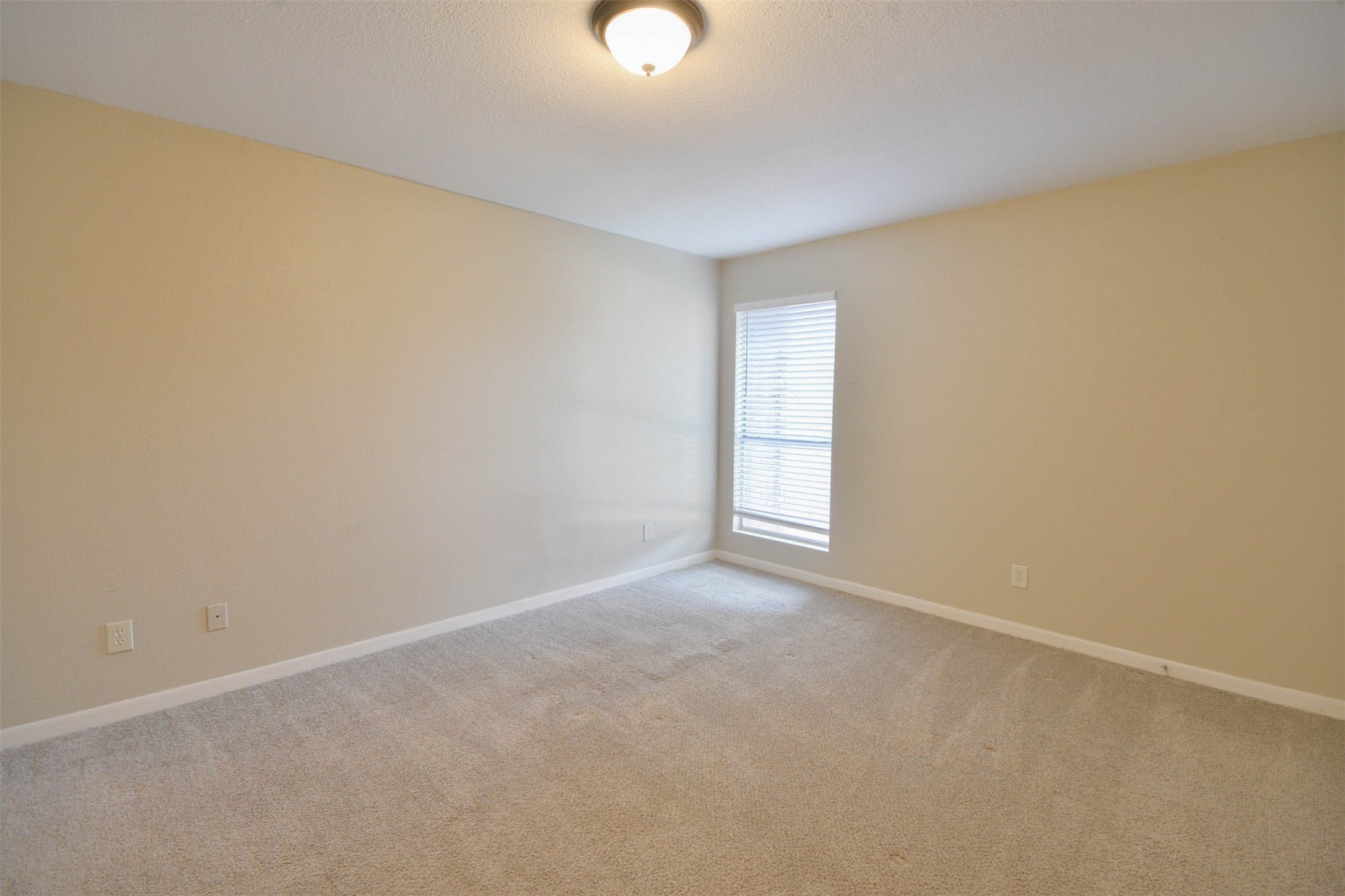 12955 Woodforest Boulevard 14 Property Photo 12