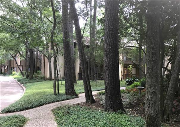 11711 Memorial Drive 83 Property Photo 21