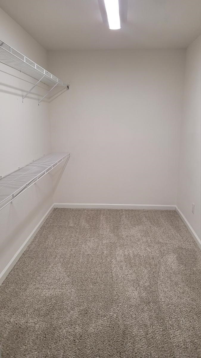 2111 Paintbrush Avenue Property Photo 5