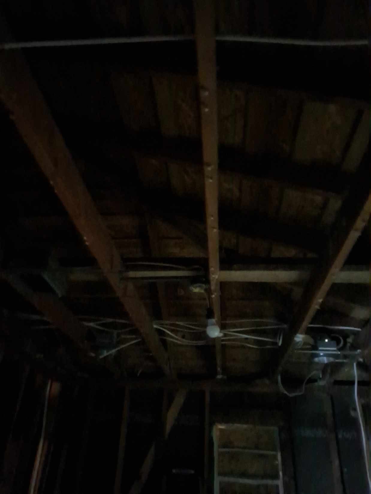 911 Shore Shadow Drive Property Photo 38