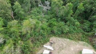 9.3ac County Road 2035, Newton Tx 75966 Property Photo 4