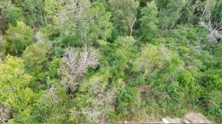 9.3ac County Road 2035, Newton Tx 75966 Property Photo 5