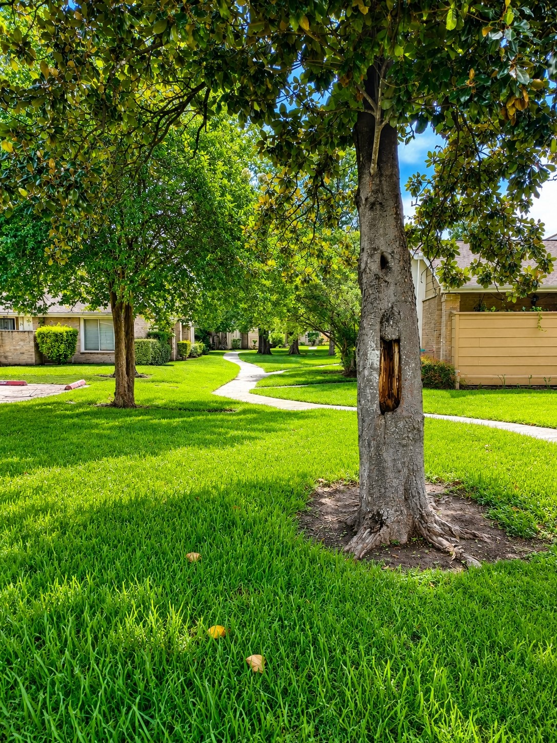 6106 W Airport Boulevard 18 Property Photo 19