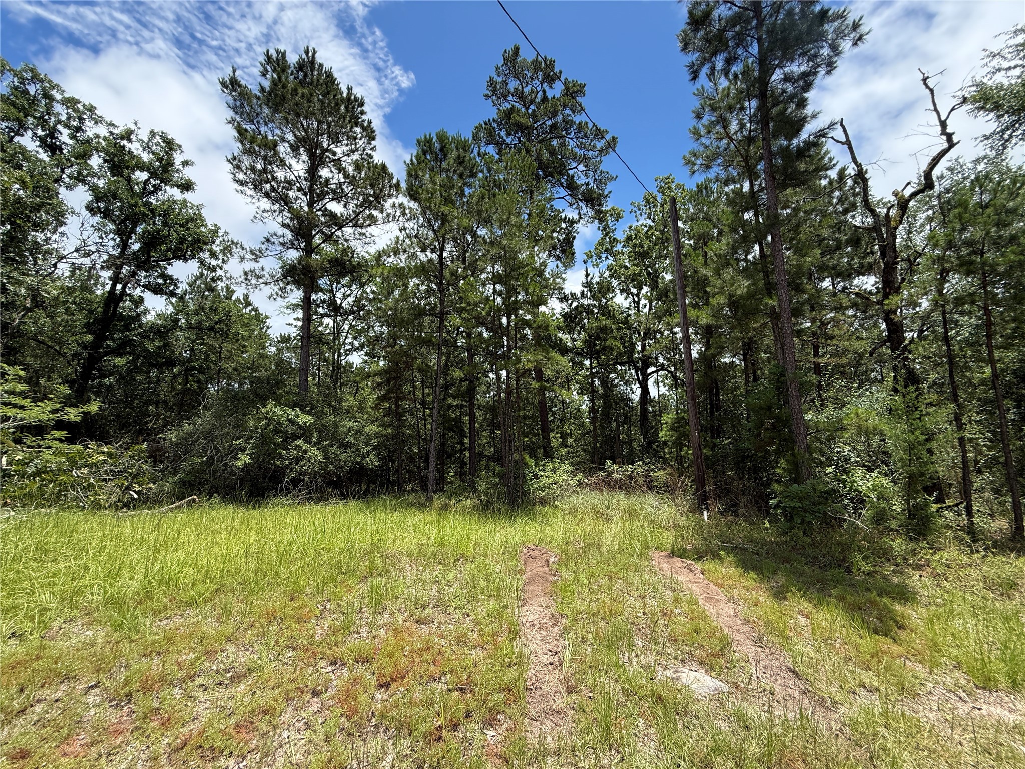 Tbd Arrow Head Lot 268 Lane Property Photo 2