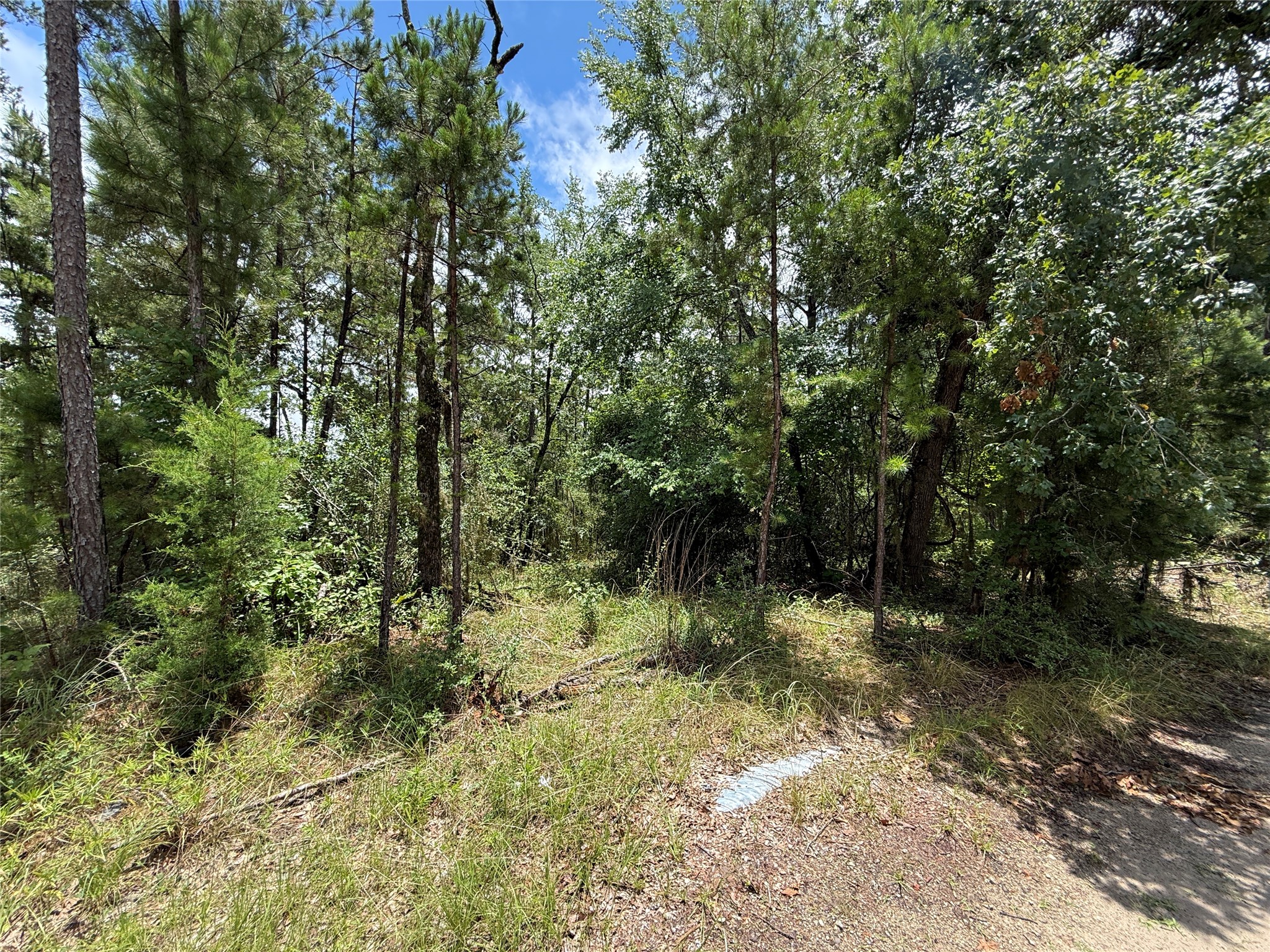 Tbd Arrow Head Lot 268 Lane Property Photo 3