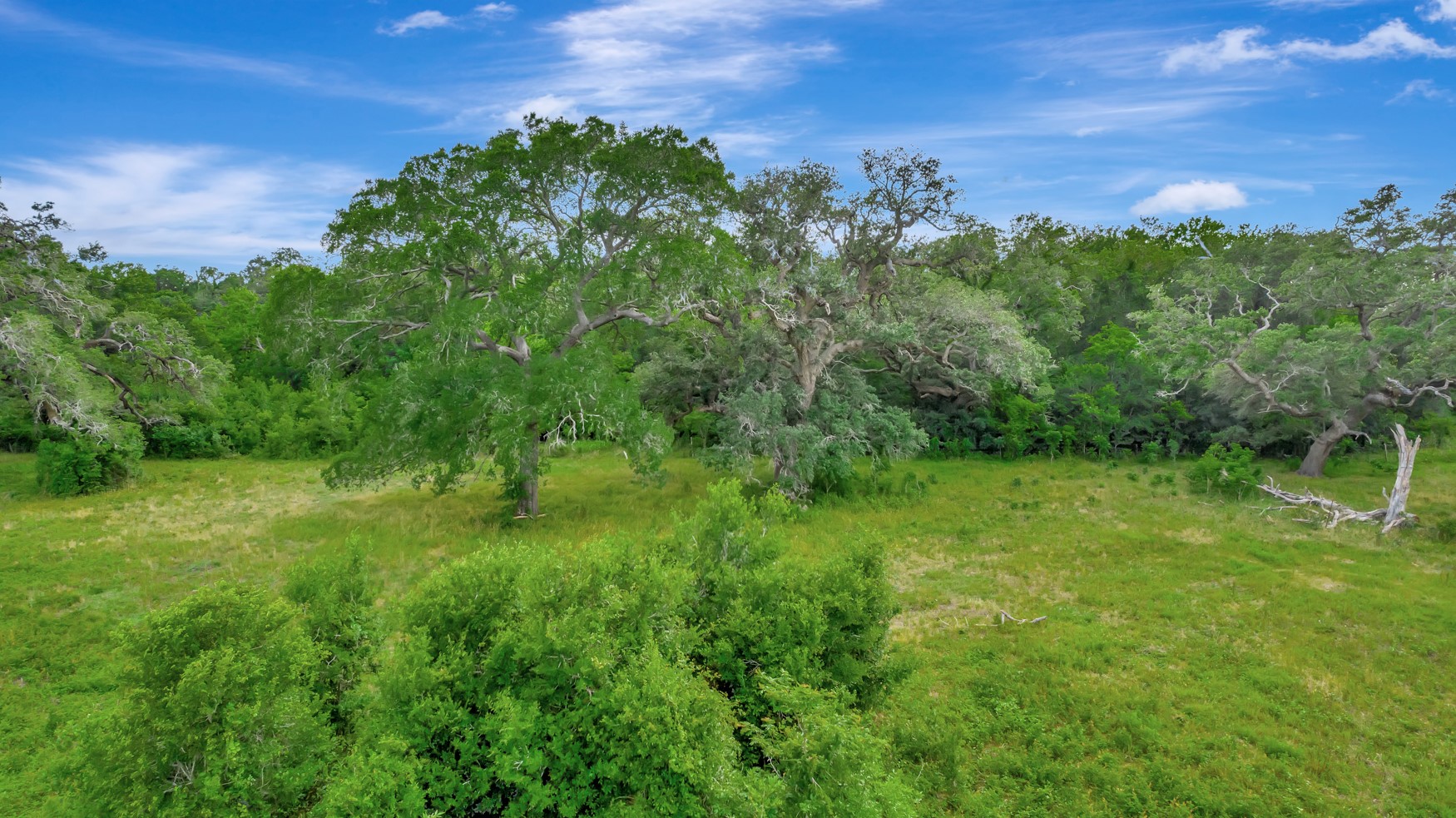 0 Fm 1822 Property Photo 4