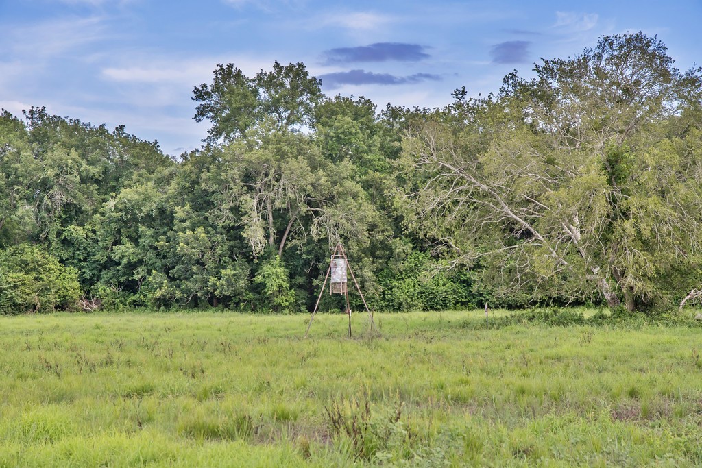 0 Fm 1822 Property Photo 7