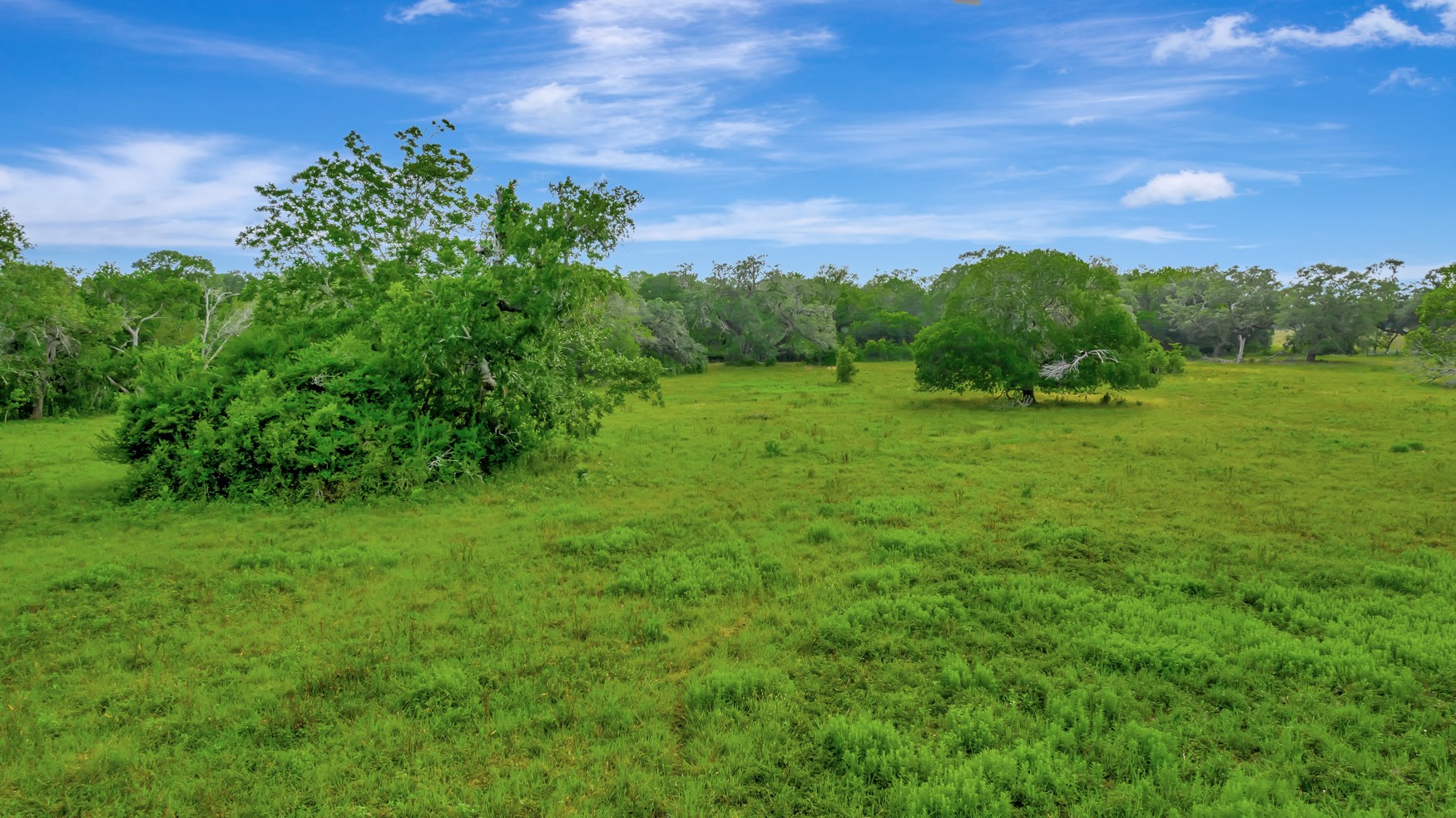 0 Fm 1822 Property Photo 10