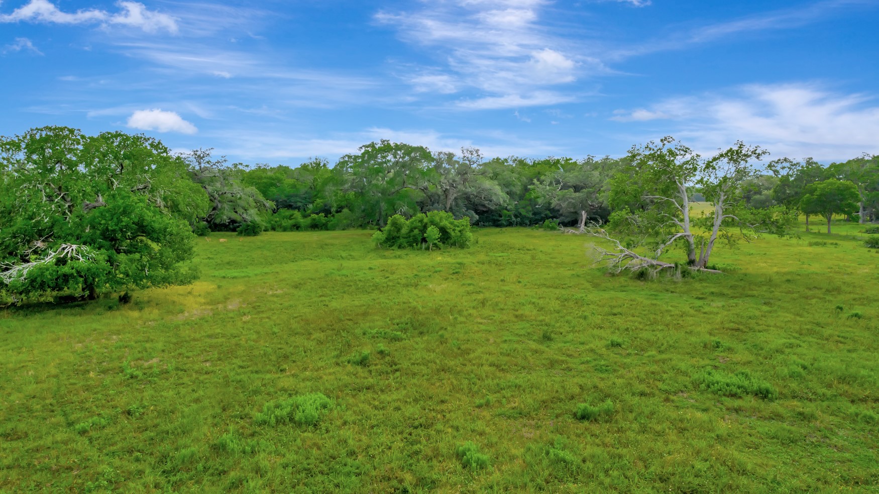 0 Fm 1822 Property Photo 12
