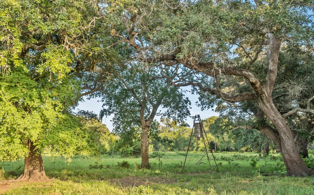 0 Fm 1822 Property Photo 19