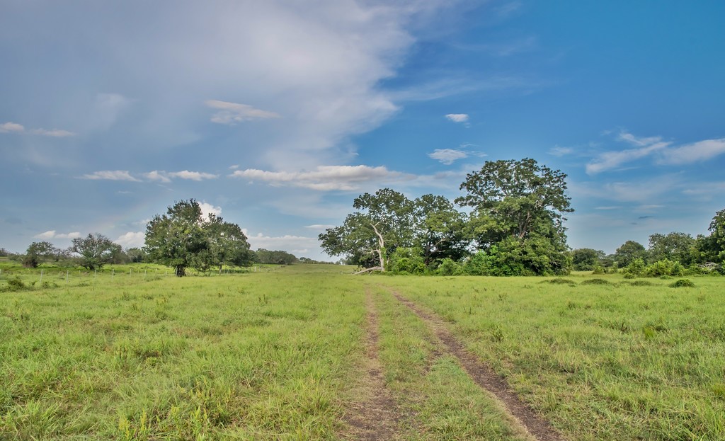 0 Fm 1822 Property Photo 21