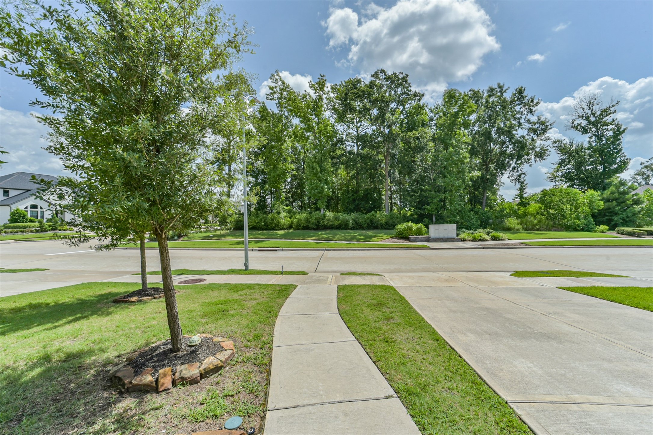 16911 Lupine Meadow Lane Property Photo 43