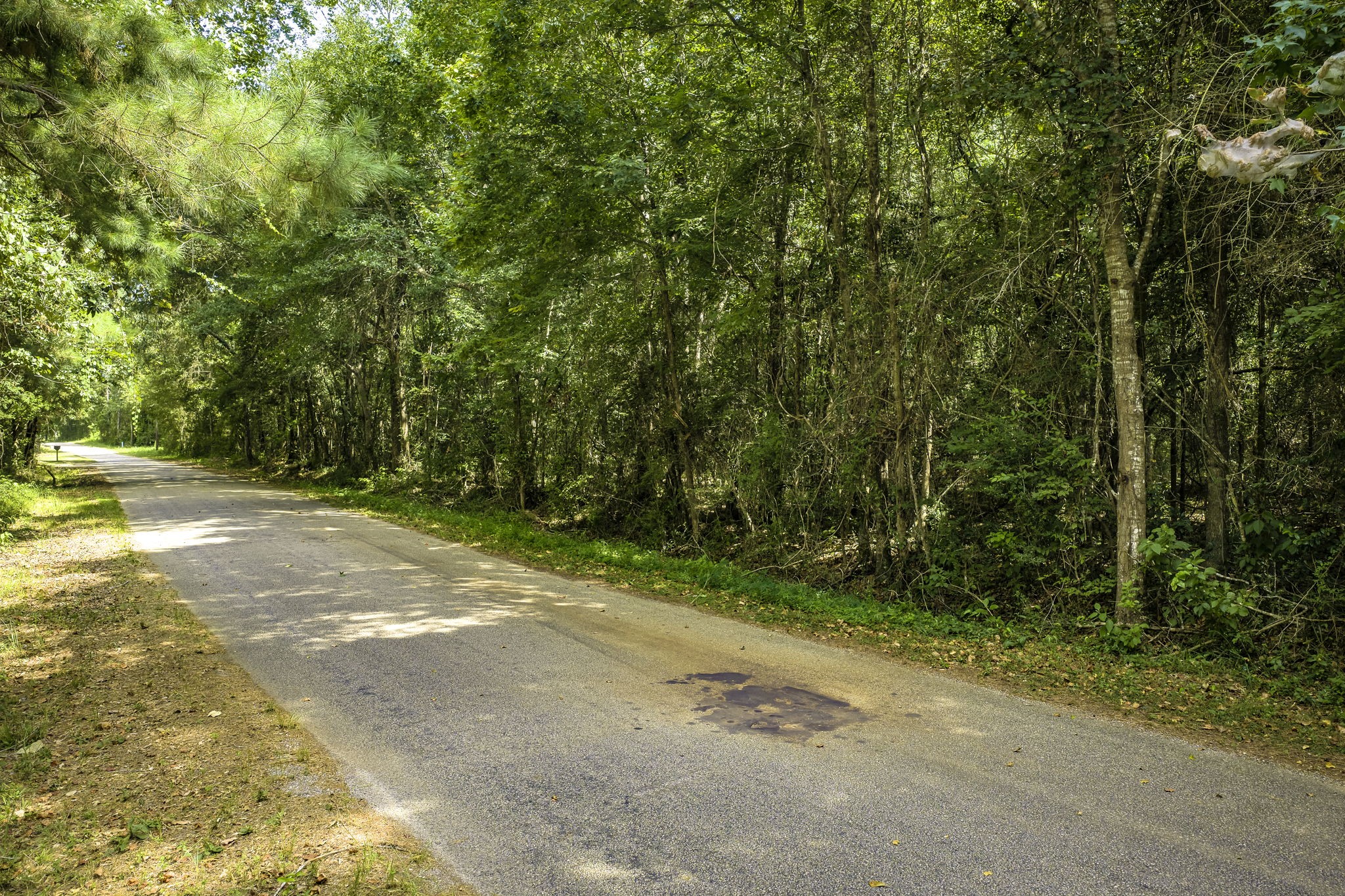 Tbd Cr 4120 Property Photo 2