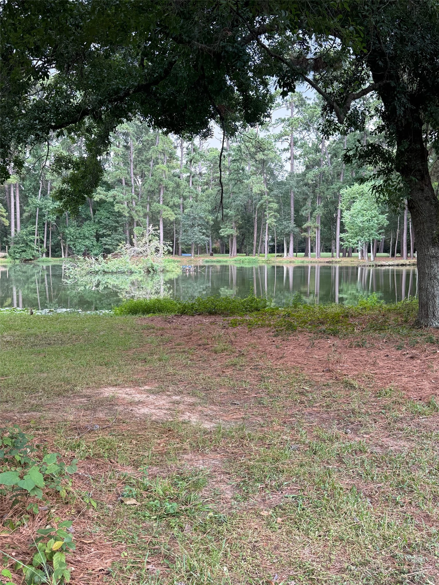 11 Holly Tree Lane Property Photo 40