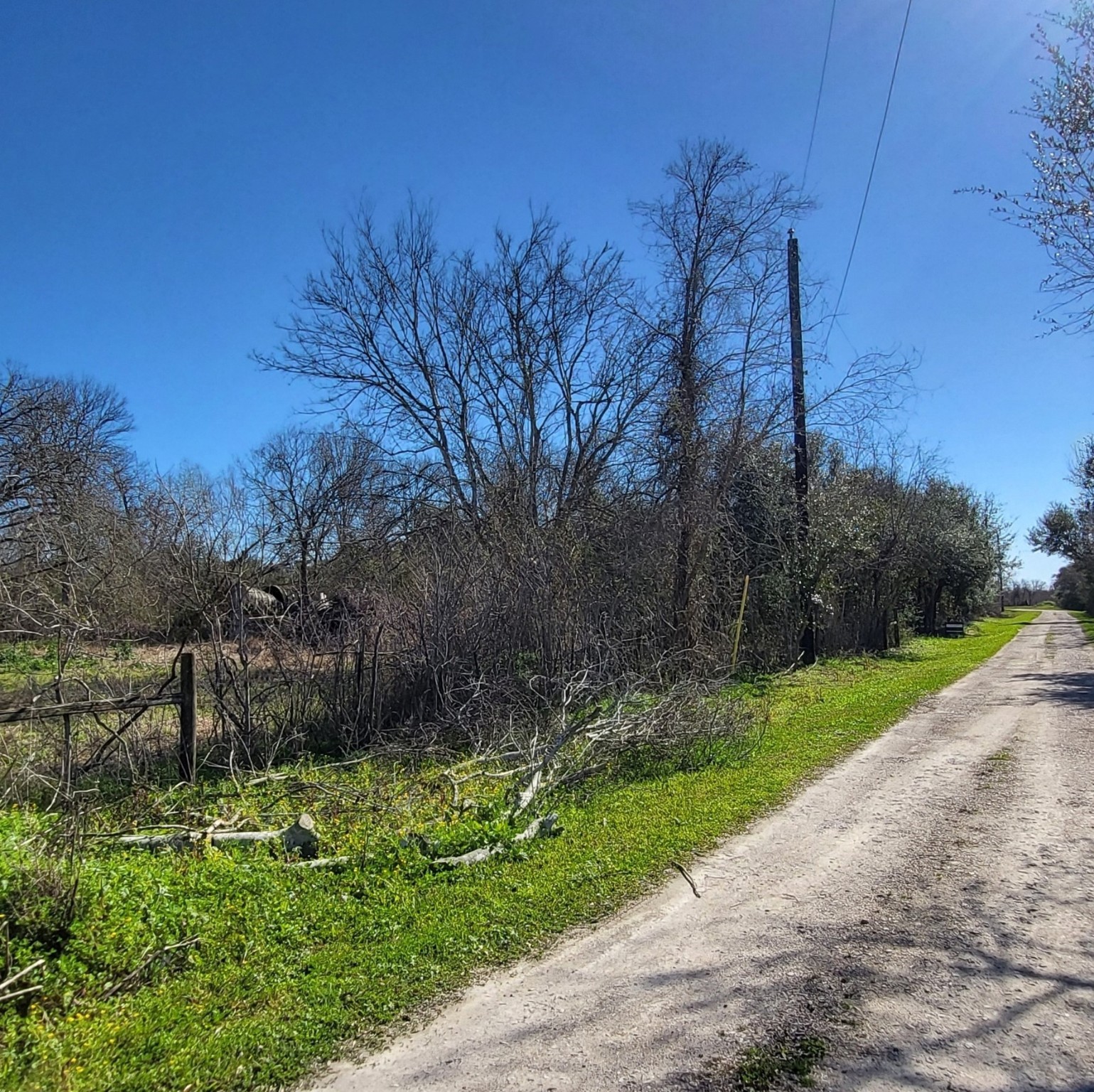 0 Shook Road Property Photo