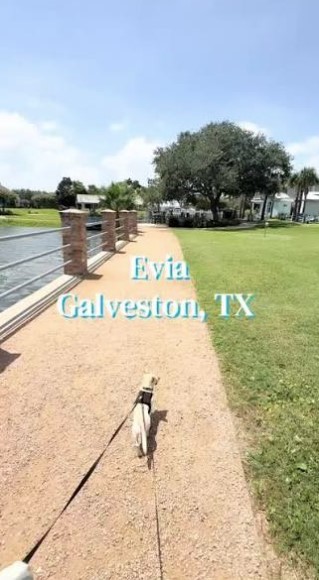 46 Island Passage Property Photo 5