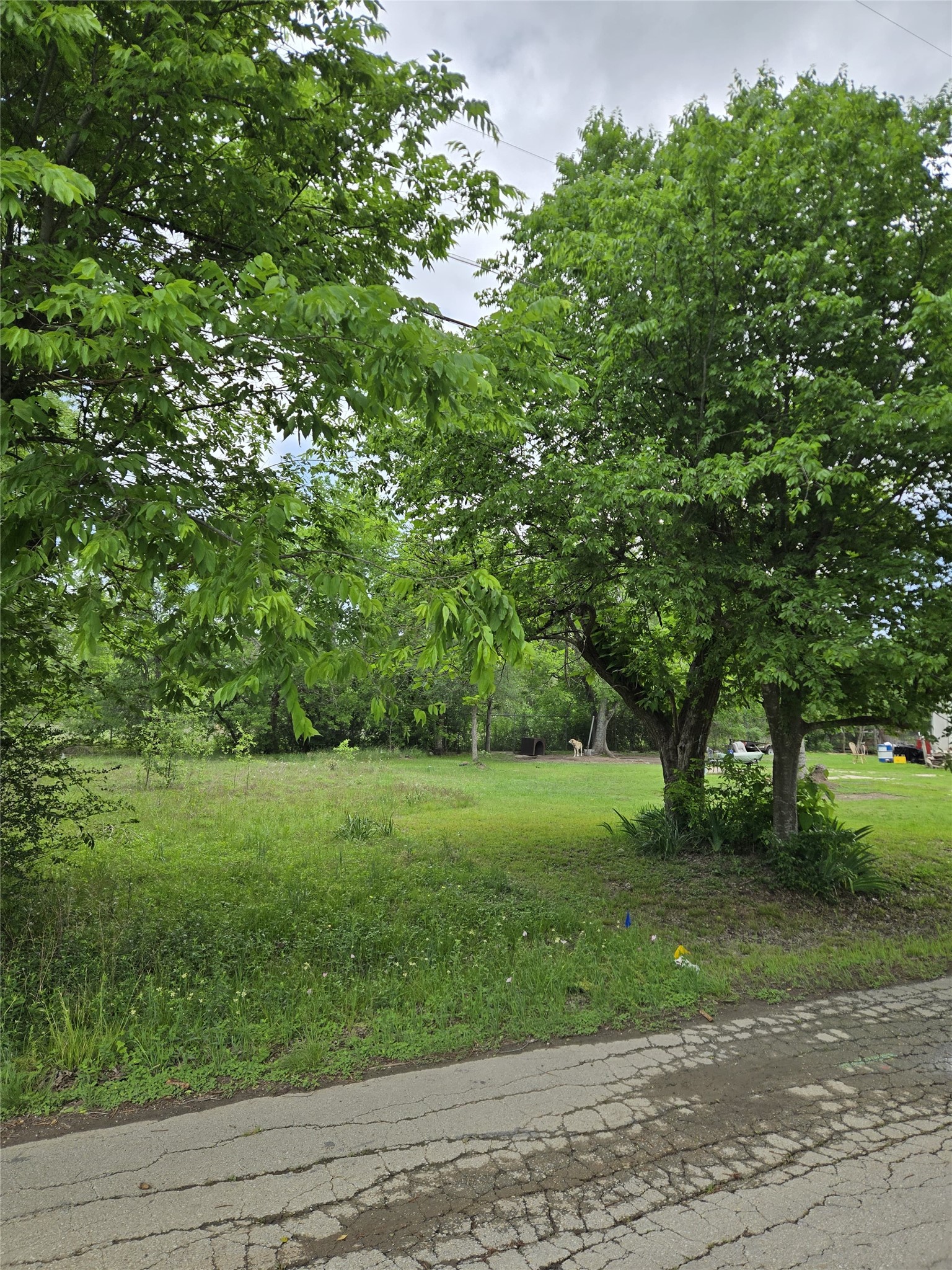 1340 Sauls Street Property Photo 4