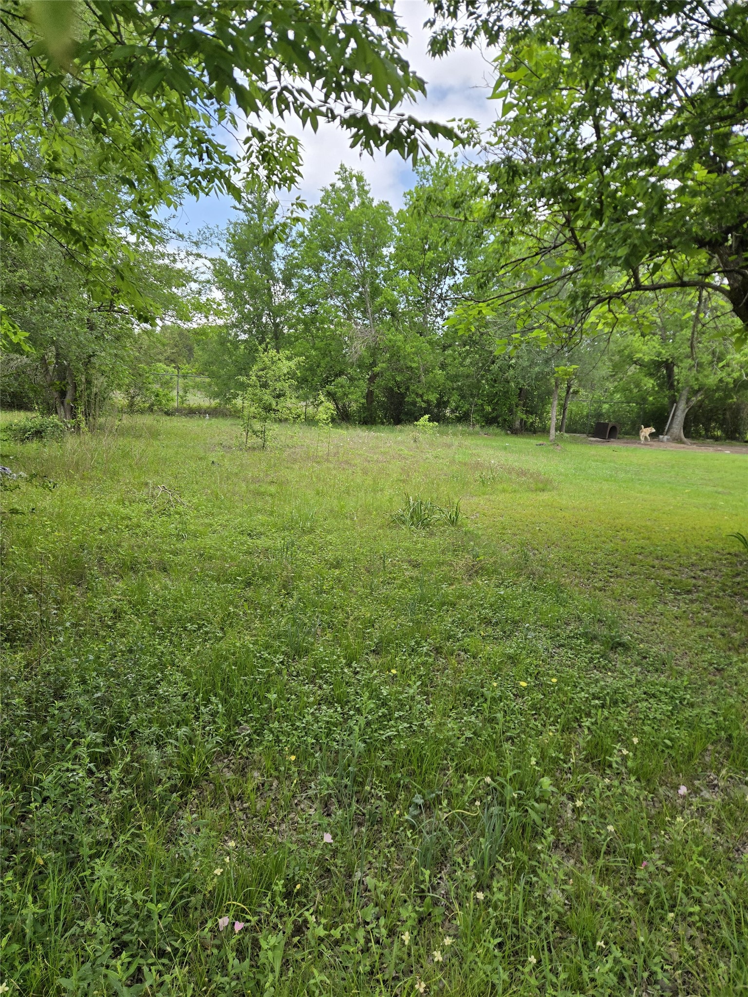 1340 Sauls Street Property Photo 5