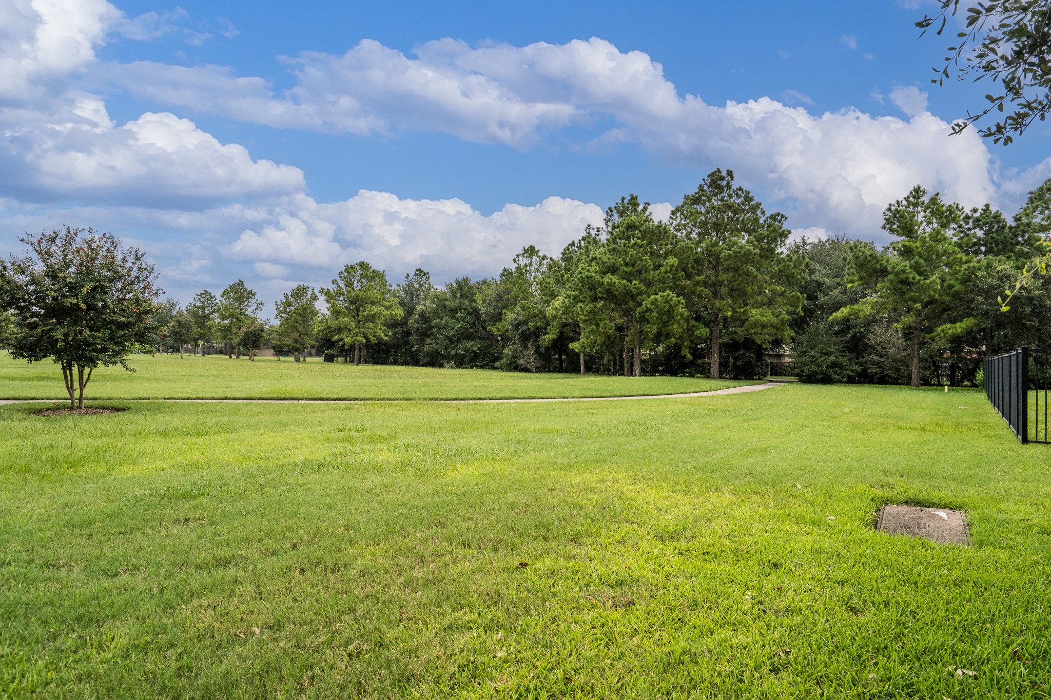 18918 Cove Pointe Dr Property Photo 4