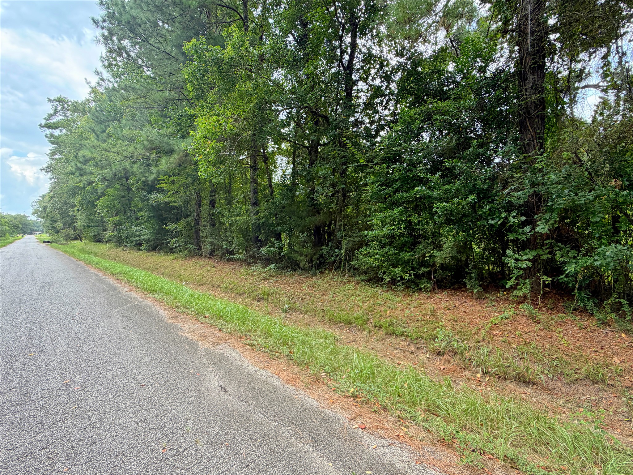 21981 Carol Road Property Photo 3